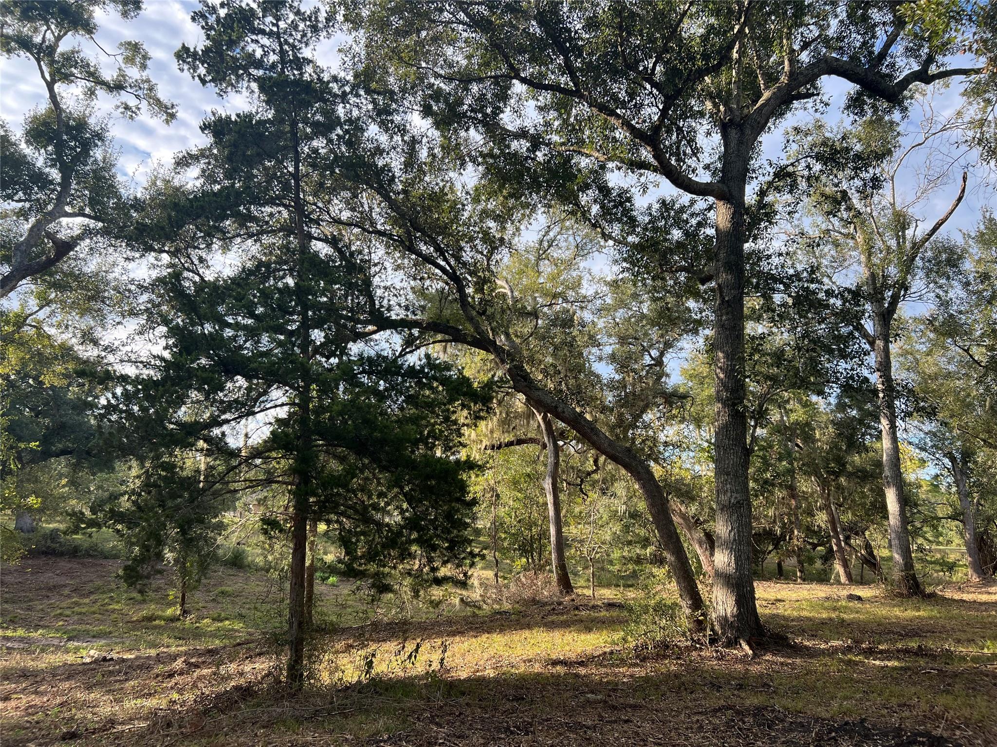 0 Cr-525, Sweeny Tx 77480 Property Photo 12