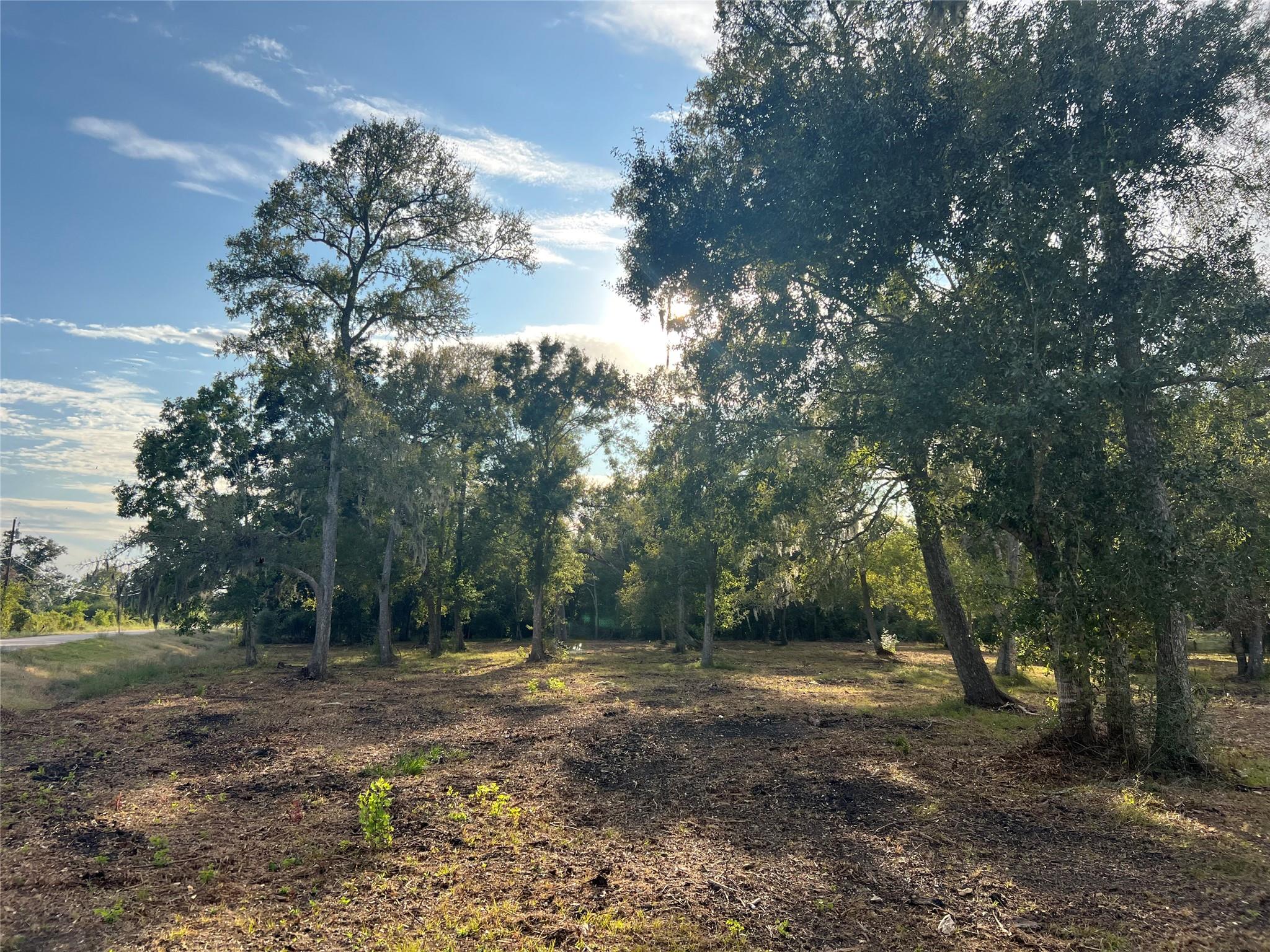 0 Cr-525, Sweeny Tx 77480 Property Photo 13