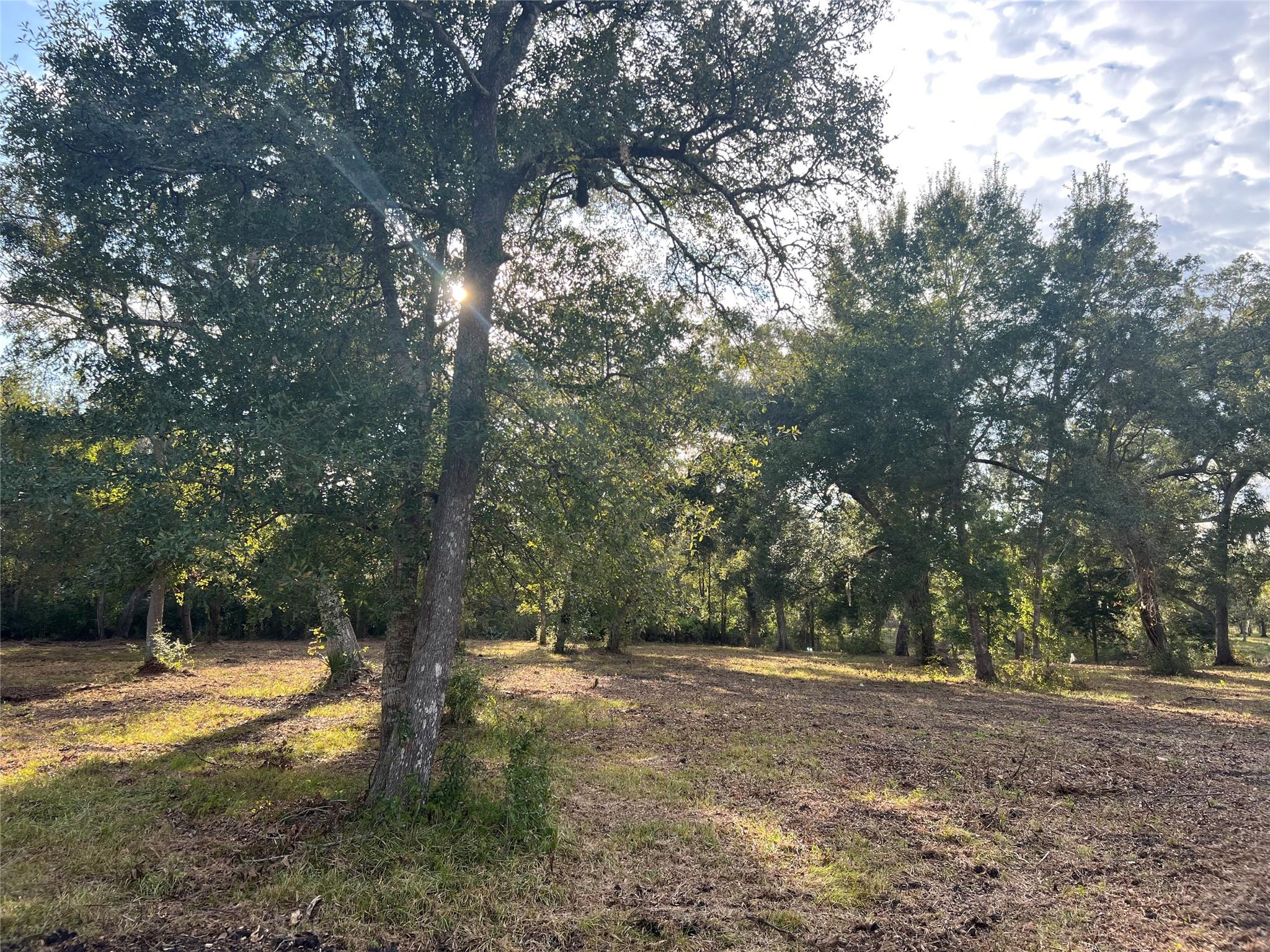 0 Cr-525, Sweeny Tx 77480 Property Photo 14