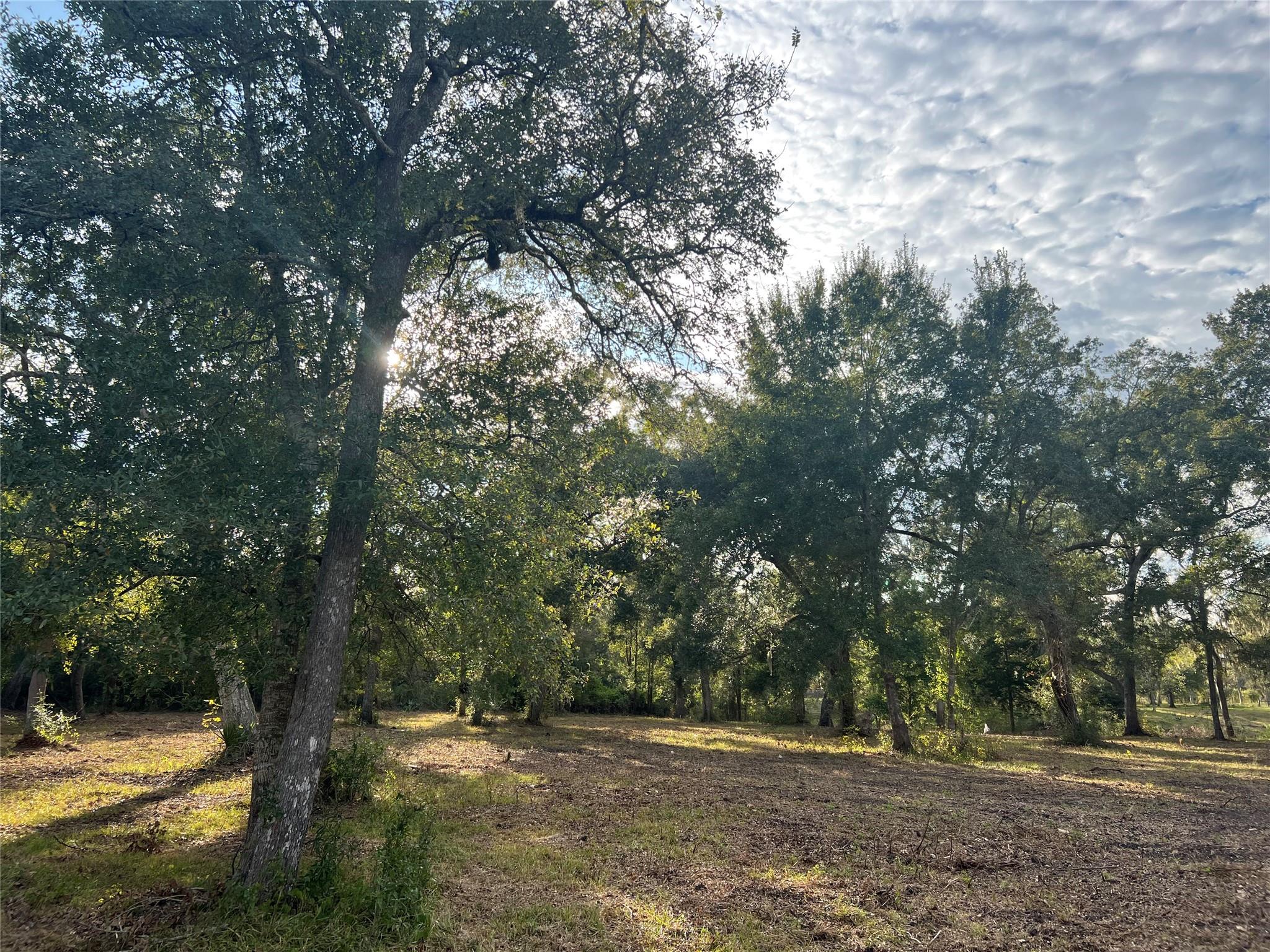 0 Cr-525, Sweeny Tx 77480 Property Photo 16