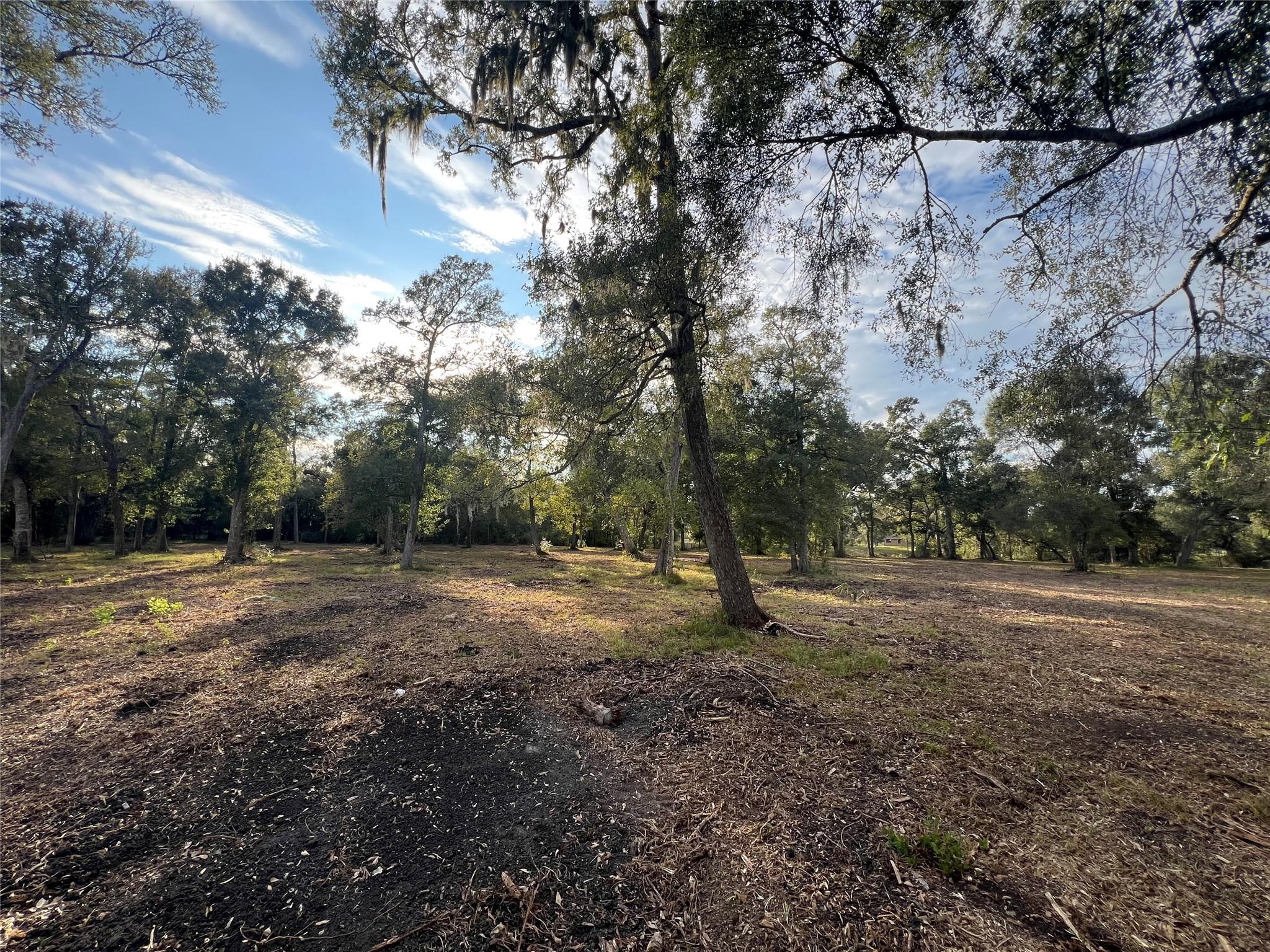 0 Cr-525, Sweeny Tx 77480 Property Photo 18
