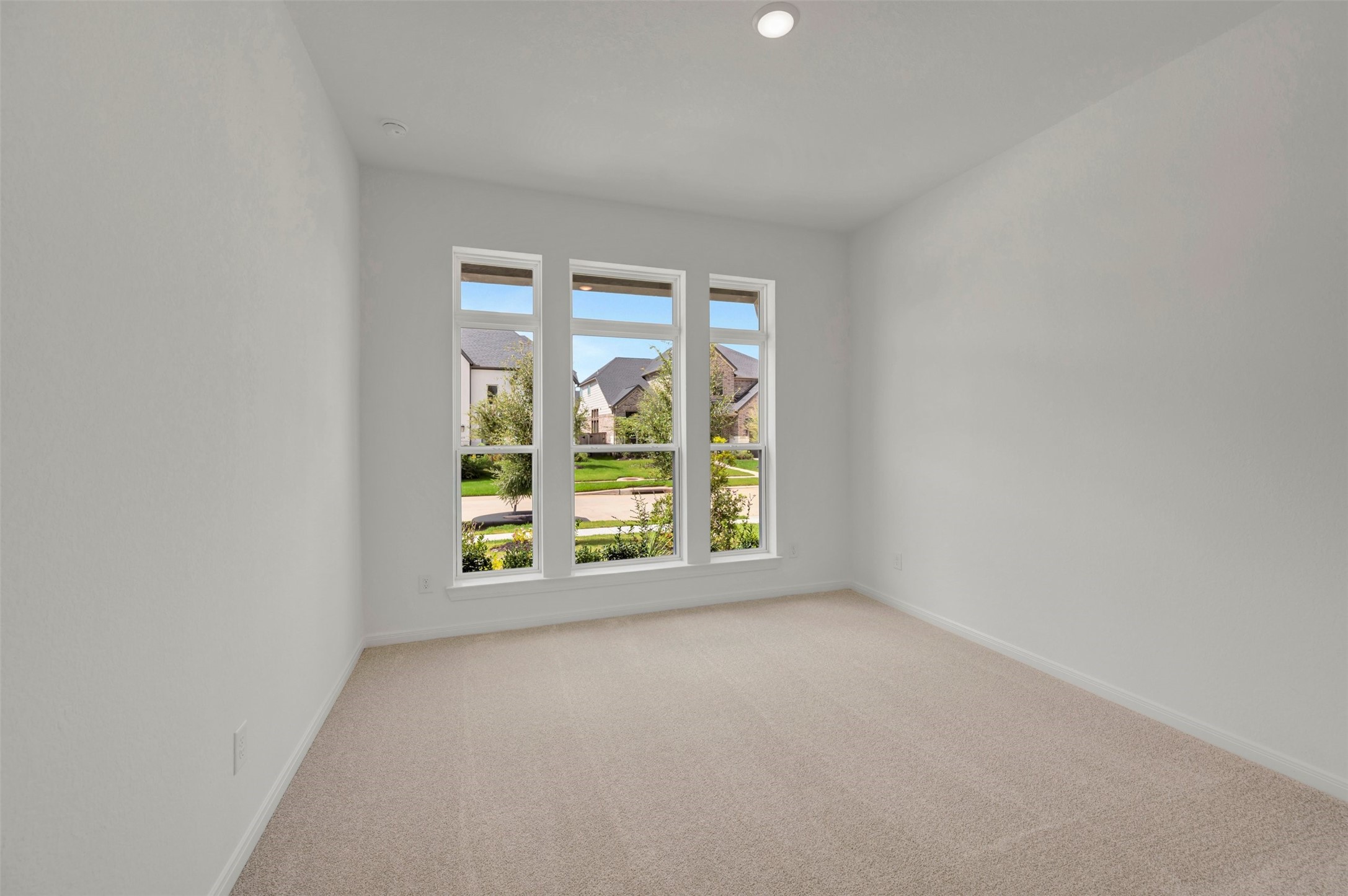 16242 Summer Aster Trail Property Photo 14