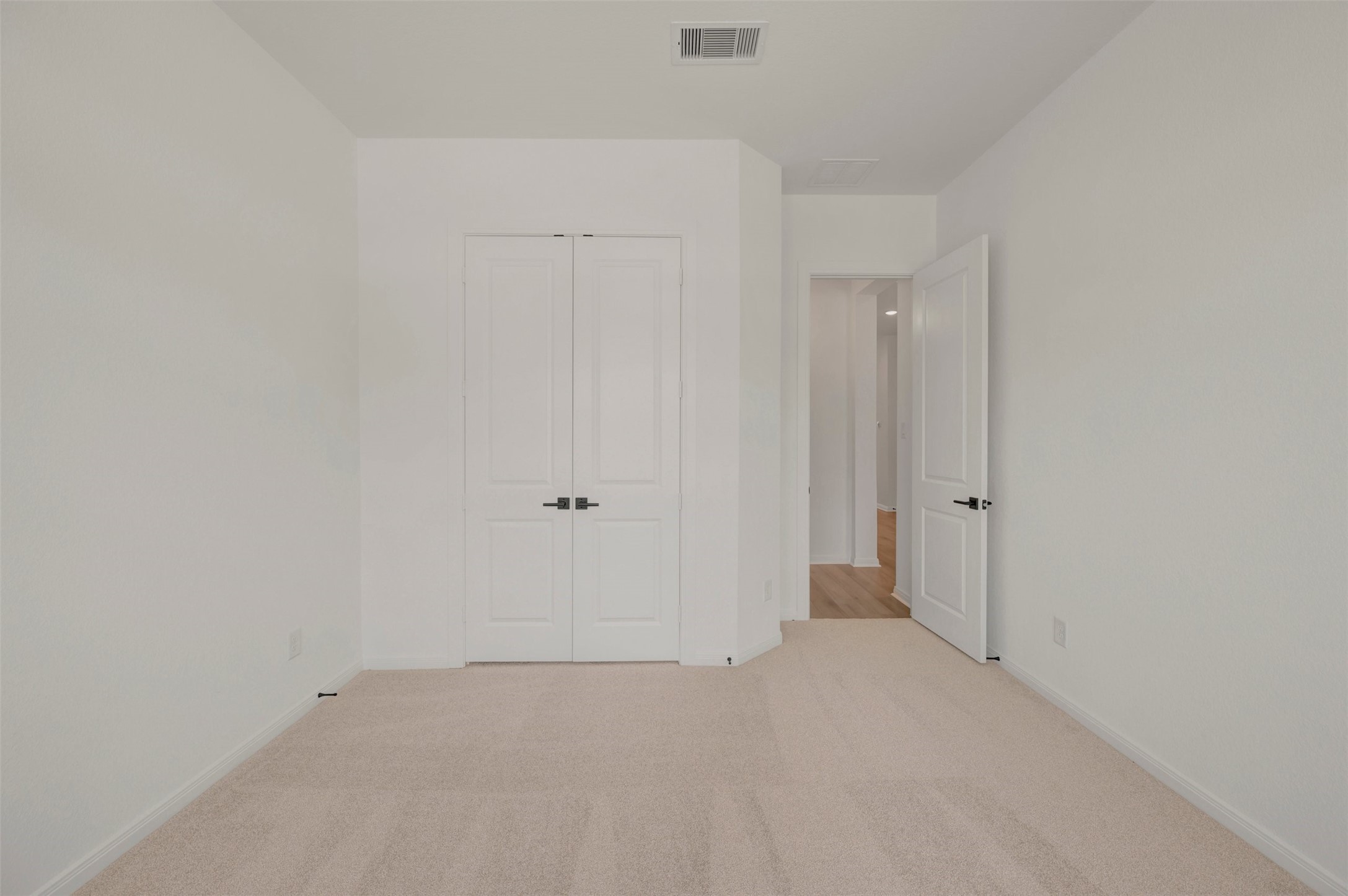 16242 Summer Aster Trail Property Photo 15