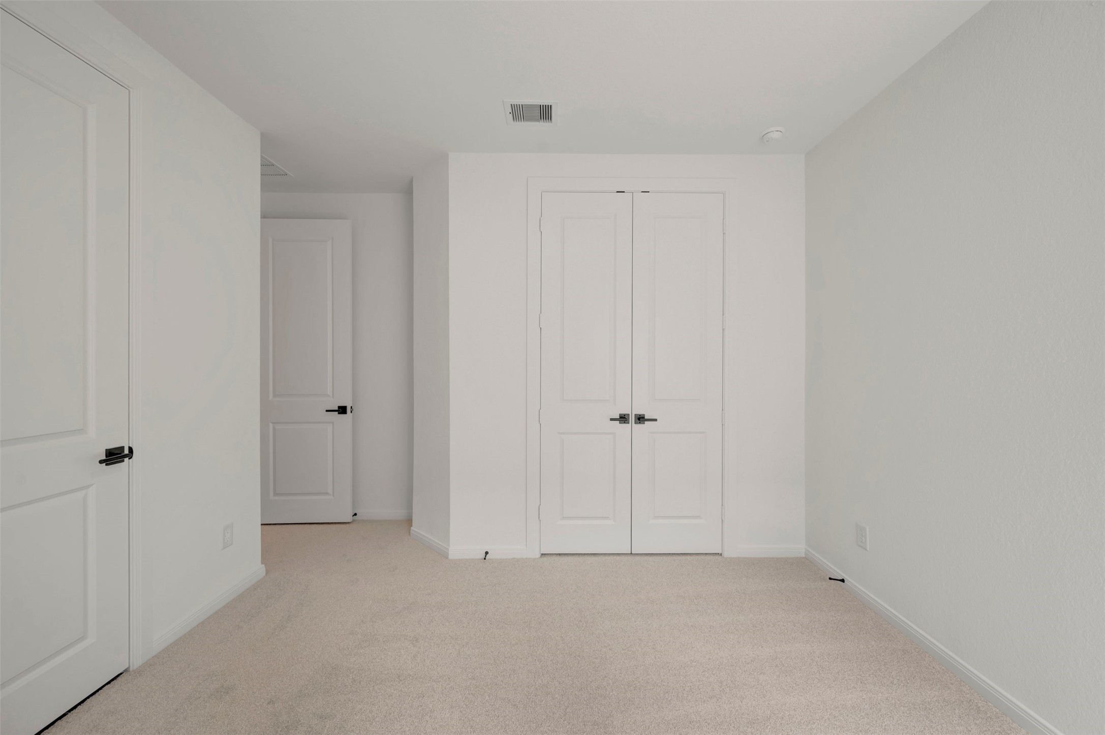 16242 Summer Aster Trail Property Photo 23