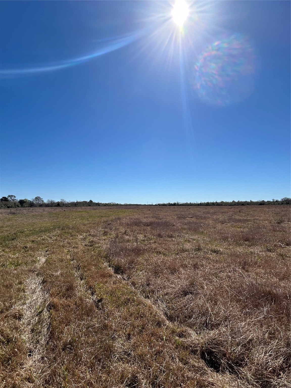 Anahuac Middle School Real Estate Listings Main Image