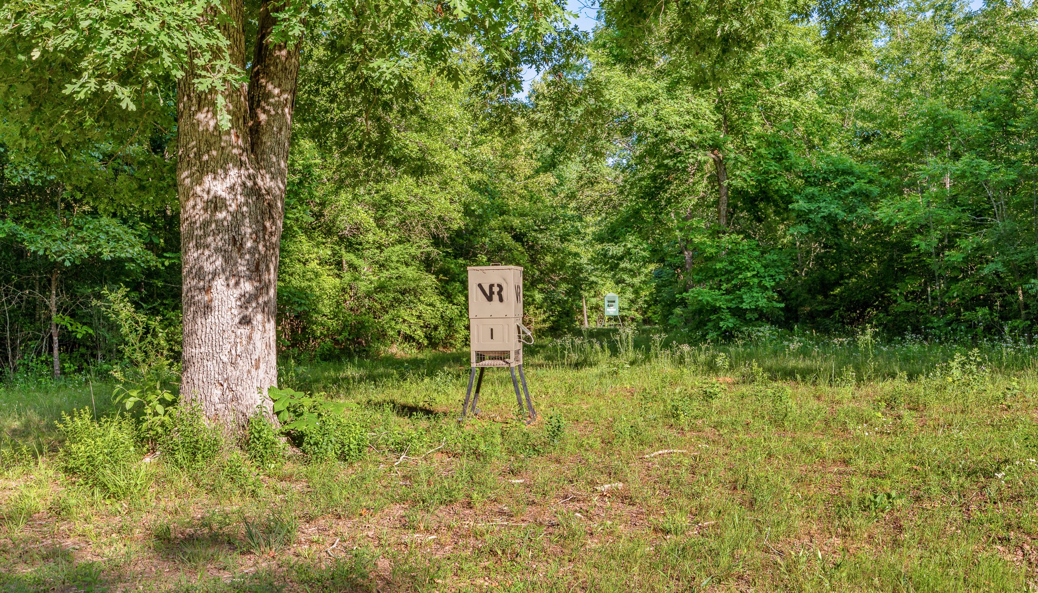 1478 Cr-4316 Property Photo 14