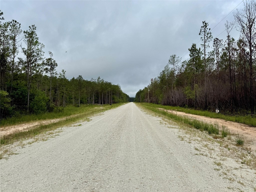 7990 Carter Ranch Road Property Photo 3