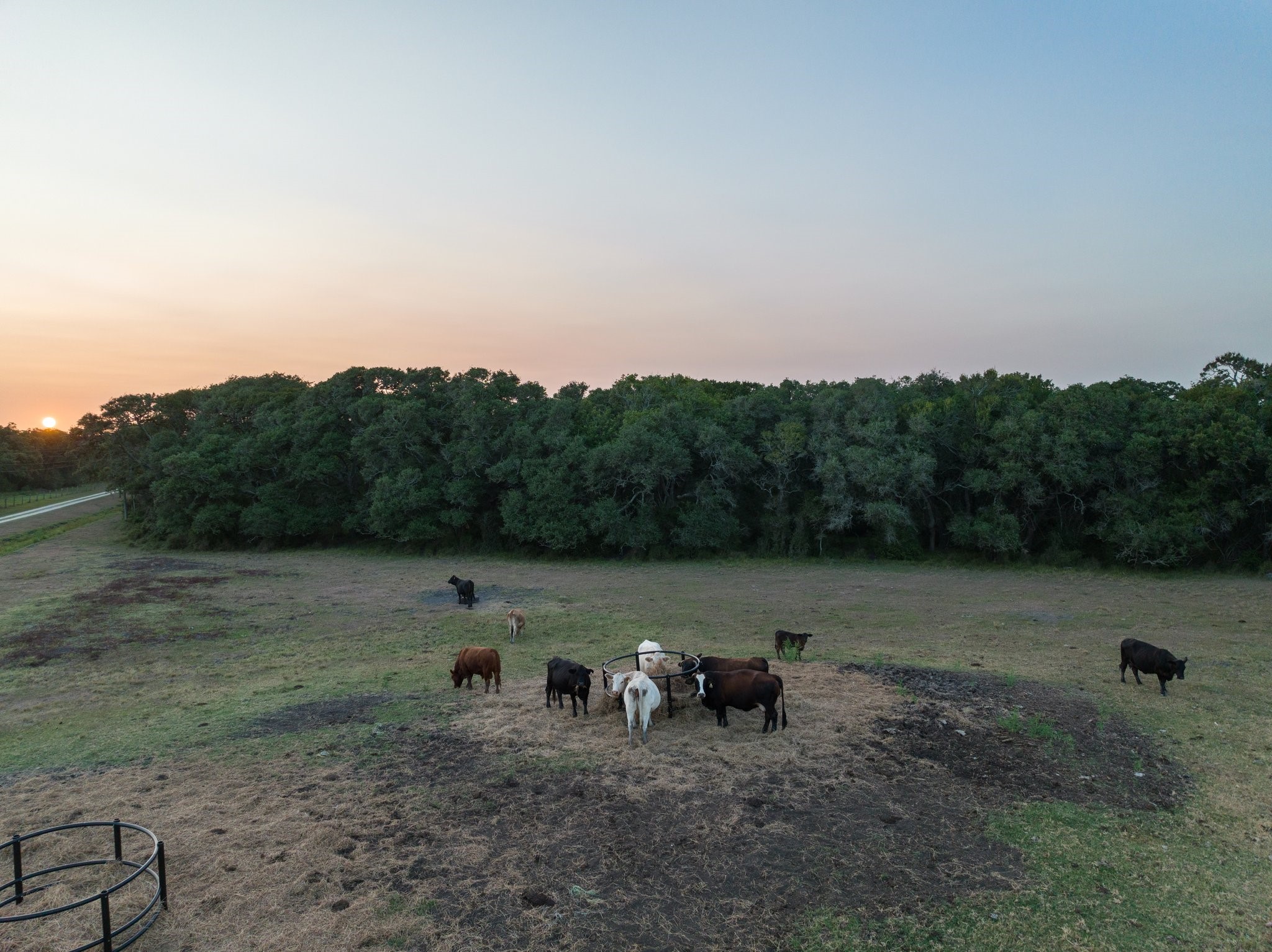 4102 Fm 1862 Property Photo 48