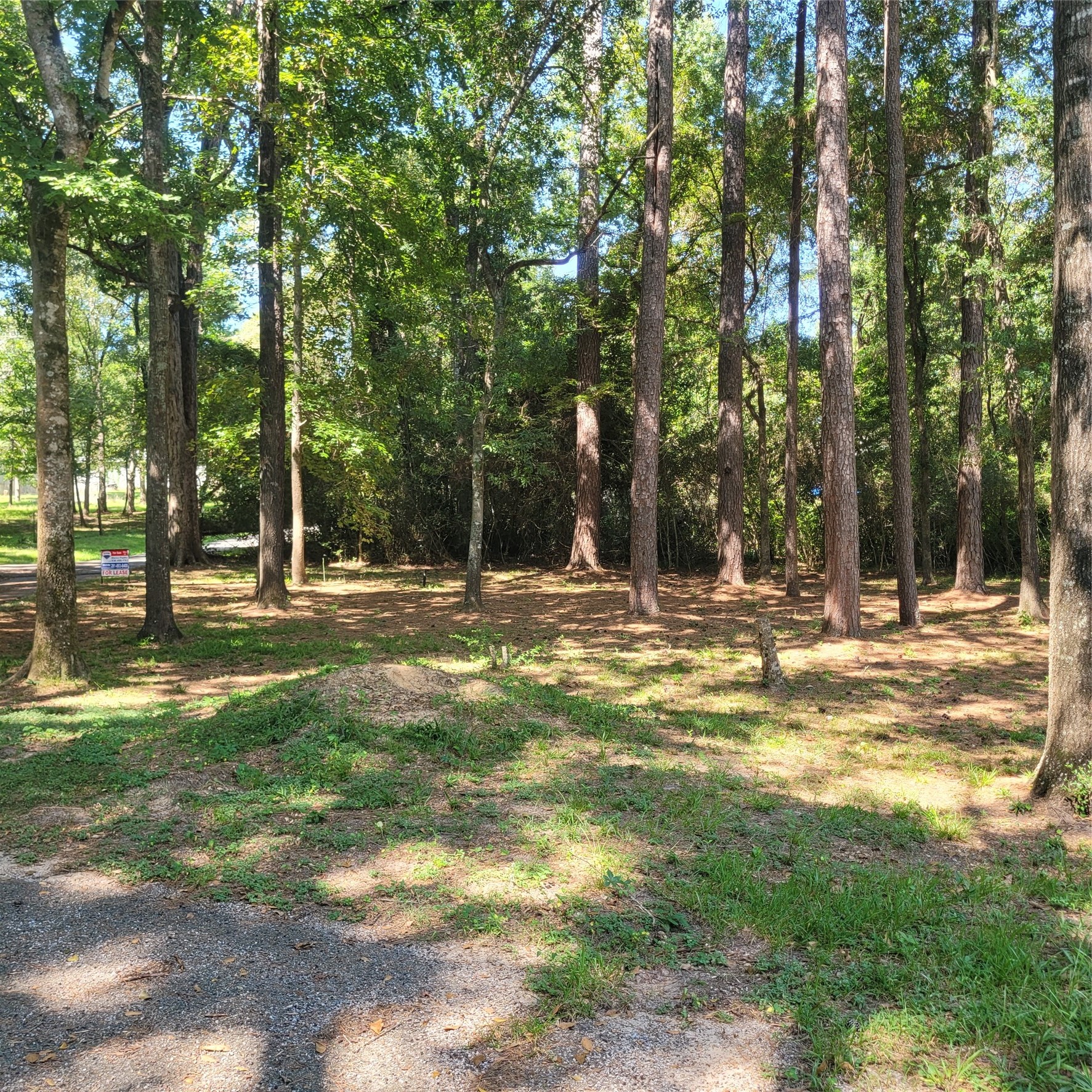 4 Sarah Lynn Lane Property Photo 4