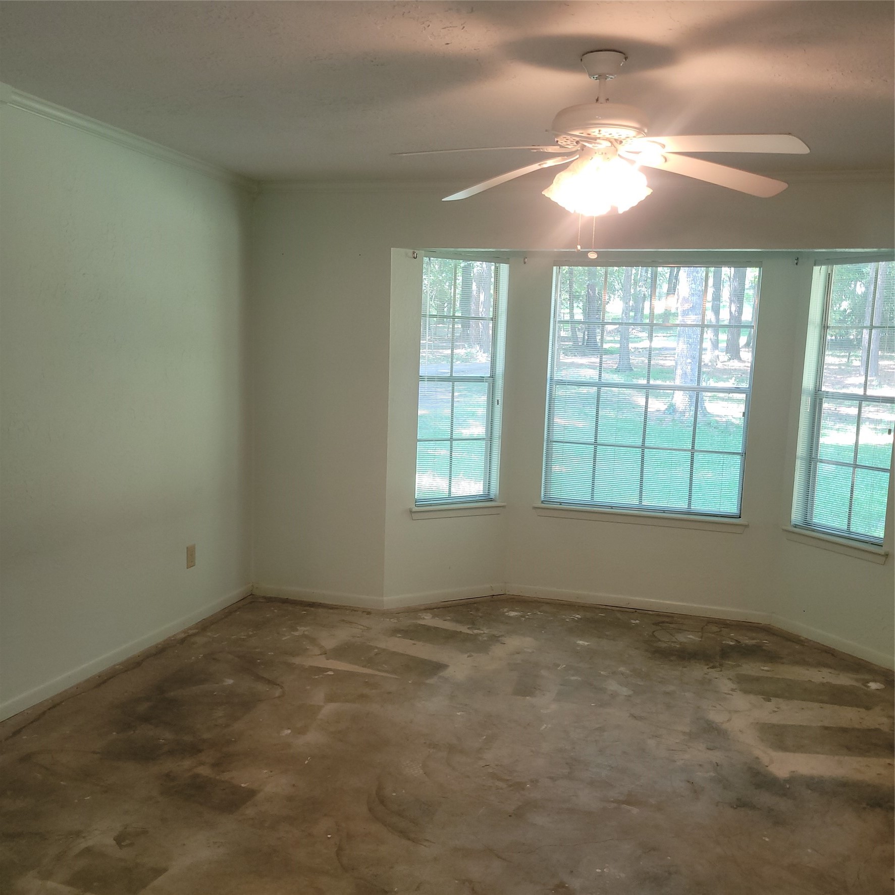 4 Sarah Lynn Lane Property Photo 8