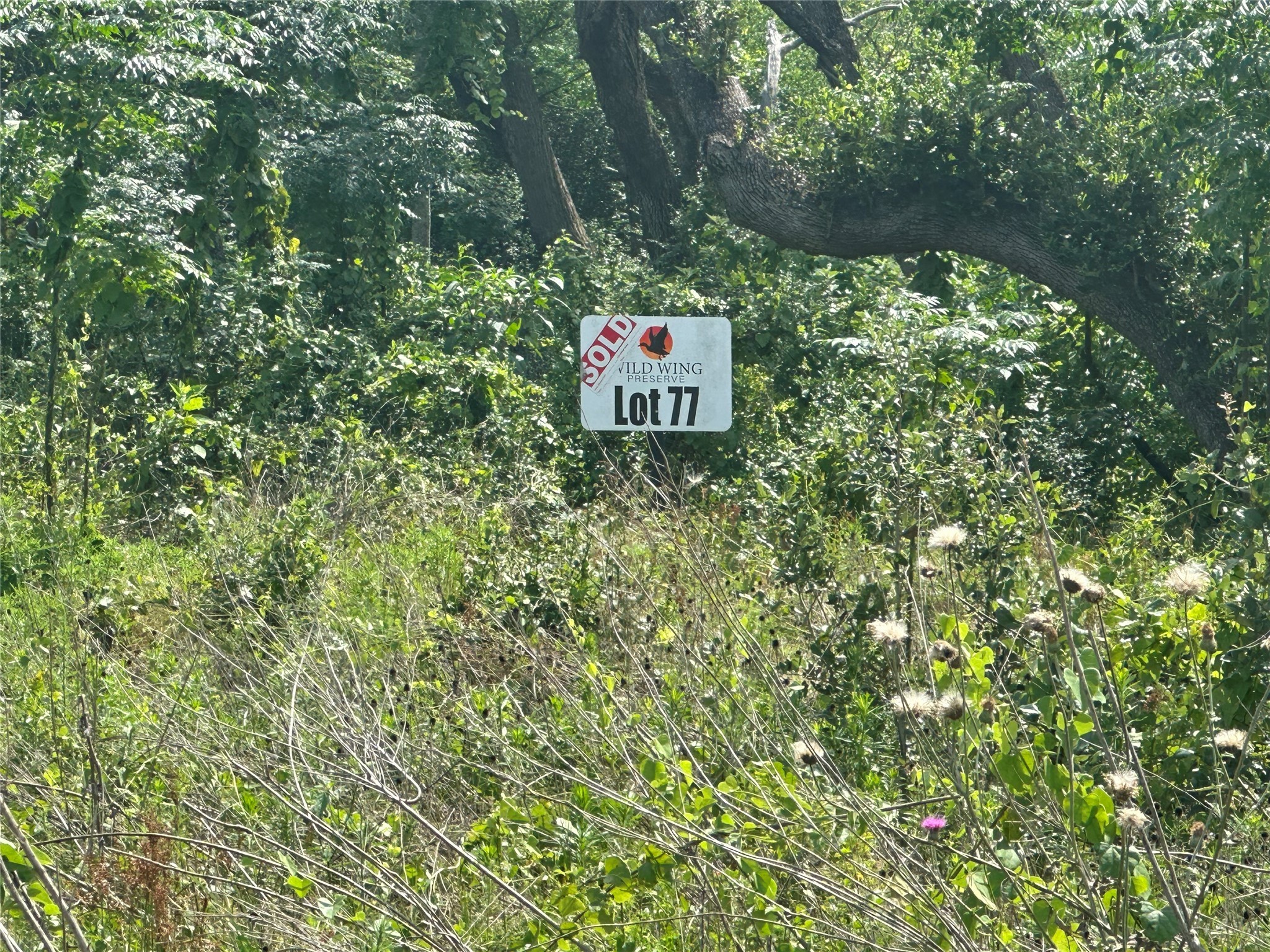 Tbd Gadwall Lane Property Photo 5