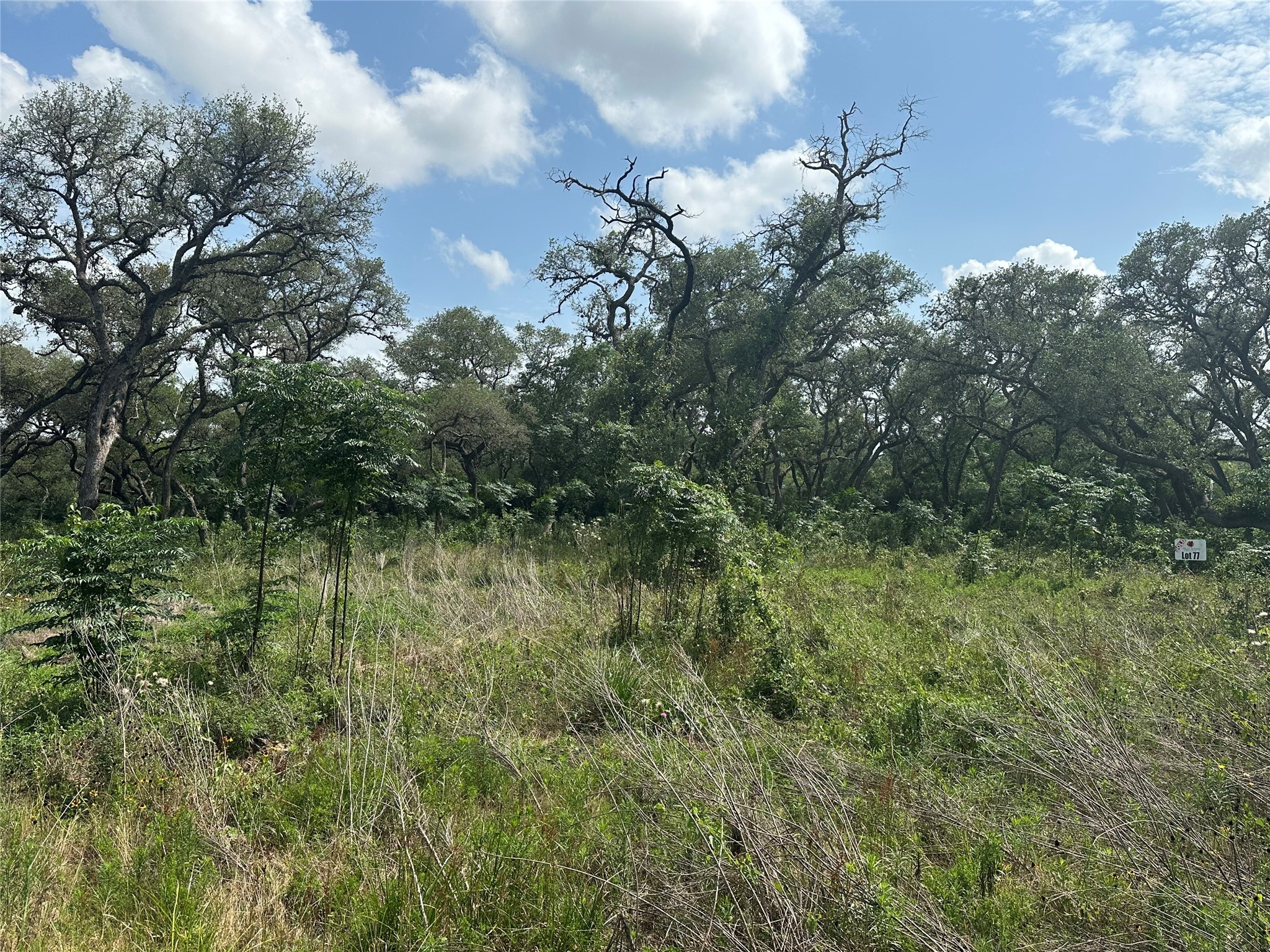 Tbd Gadwall Lane Property Photo 6