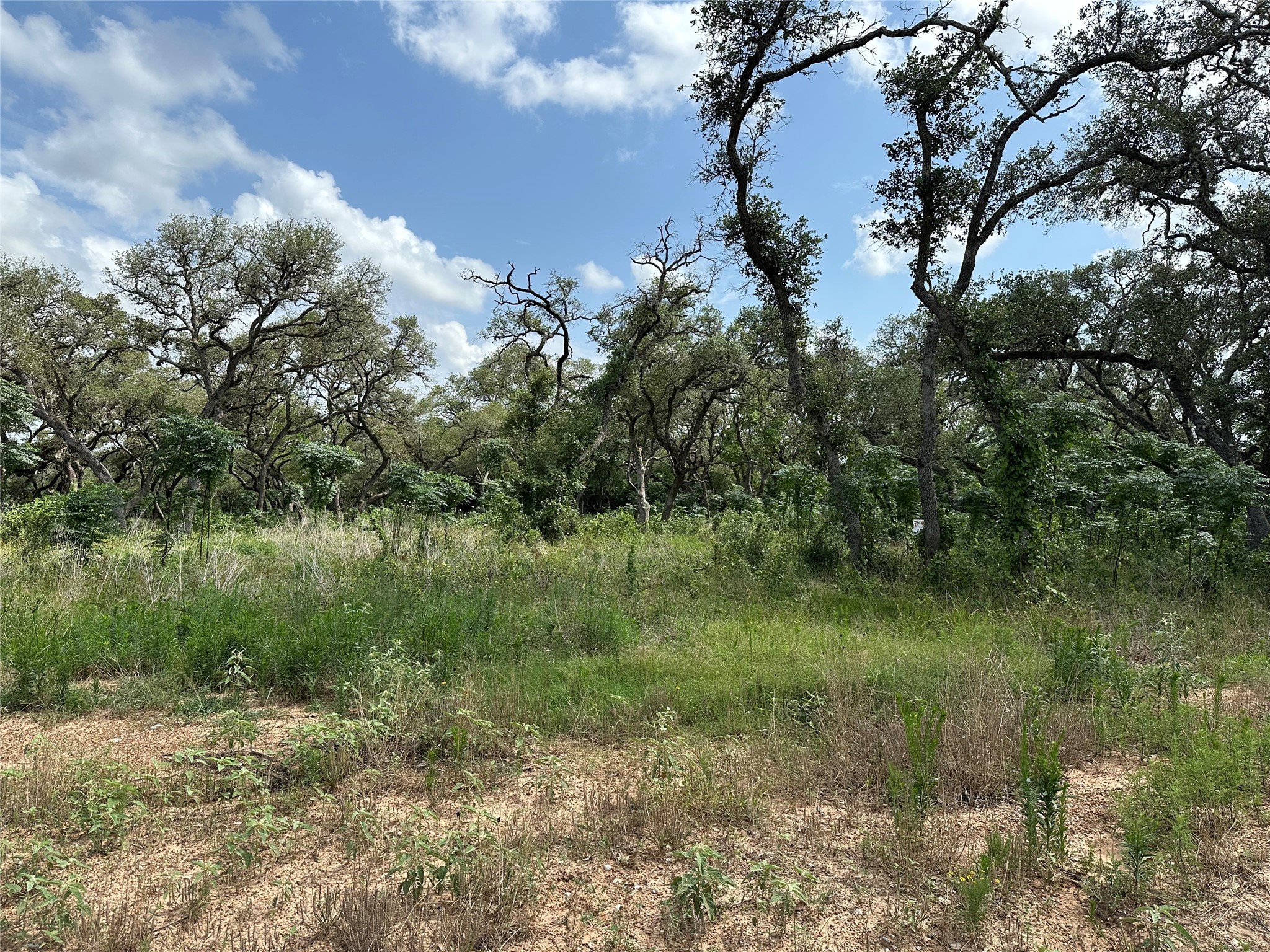 Tbd Gadwall Lane Property Photo 7