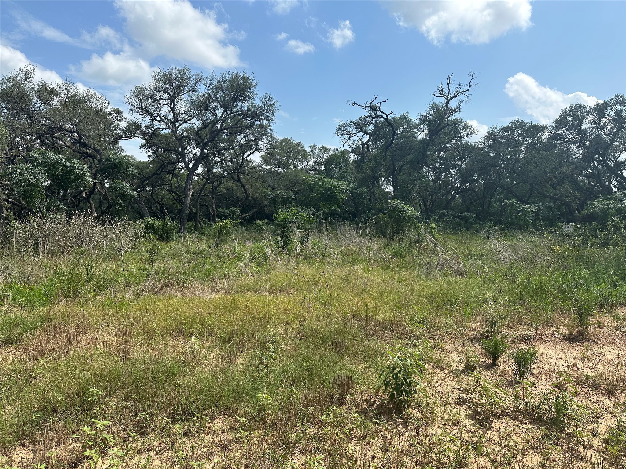 Tbd Gadwall Lane Property Photo 12