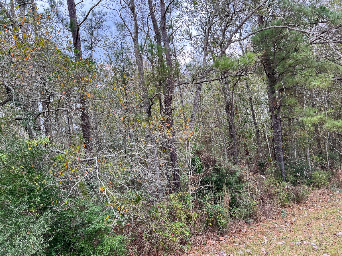 1 Highway 87 Property Photo 6