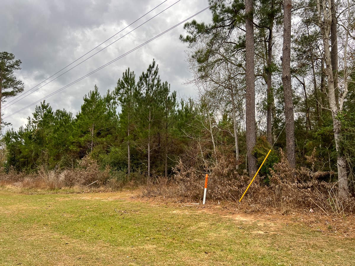 1 Highway 87 Property Photo 7