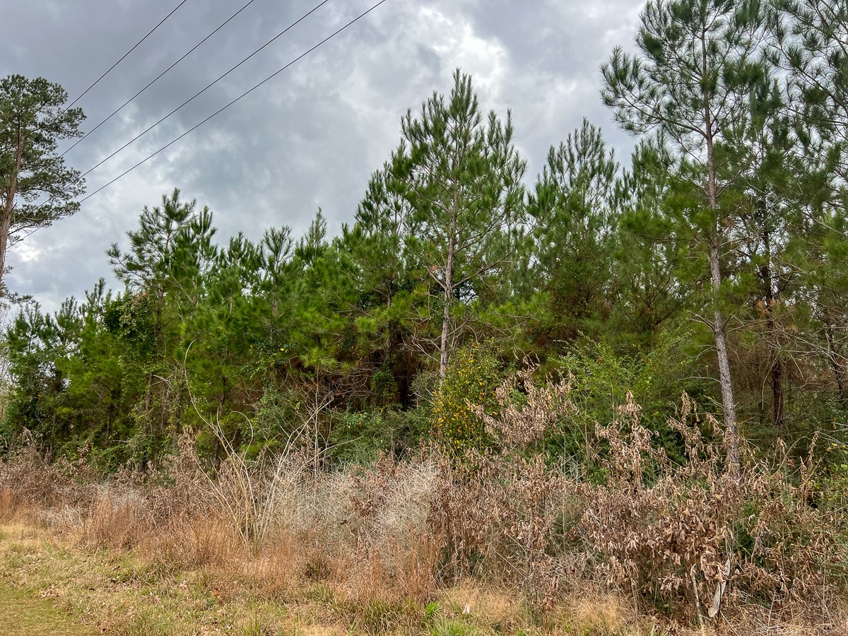 1 Highway 87 Property Photo 10