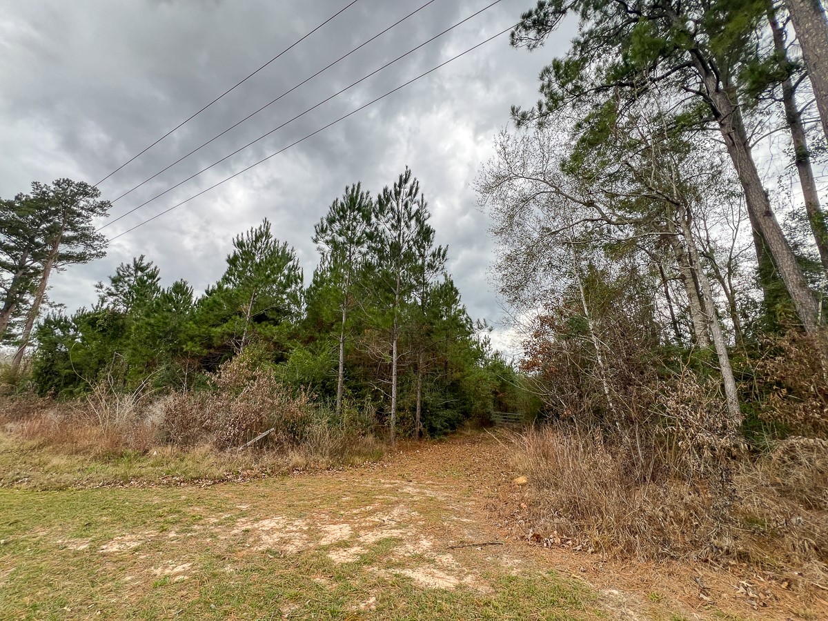 1 Highway 87 Property Photo 12