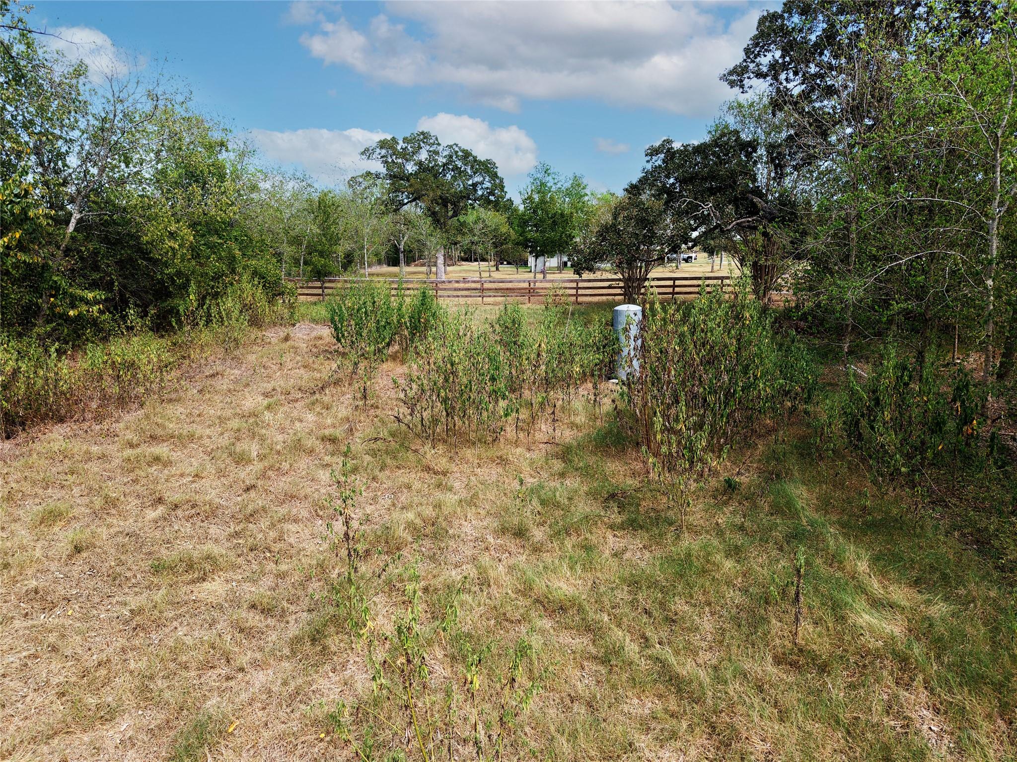 3329 Taylor Lane Property Photo 9
