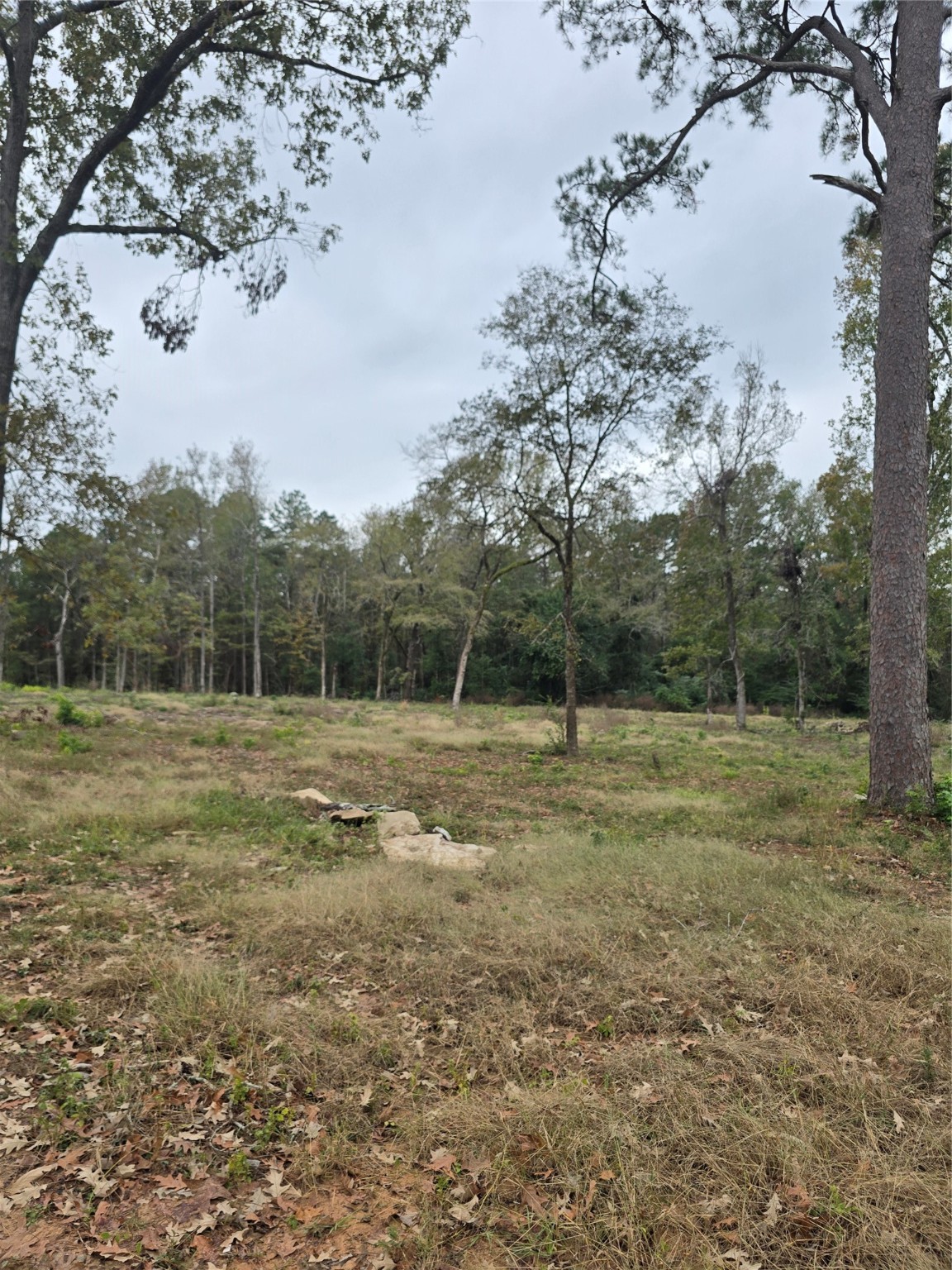 1006 S Houston Avenue Property Photo 1