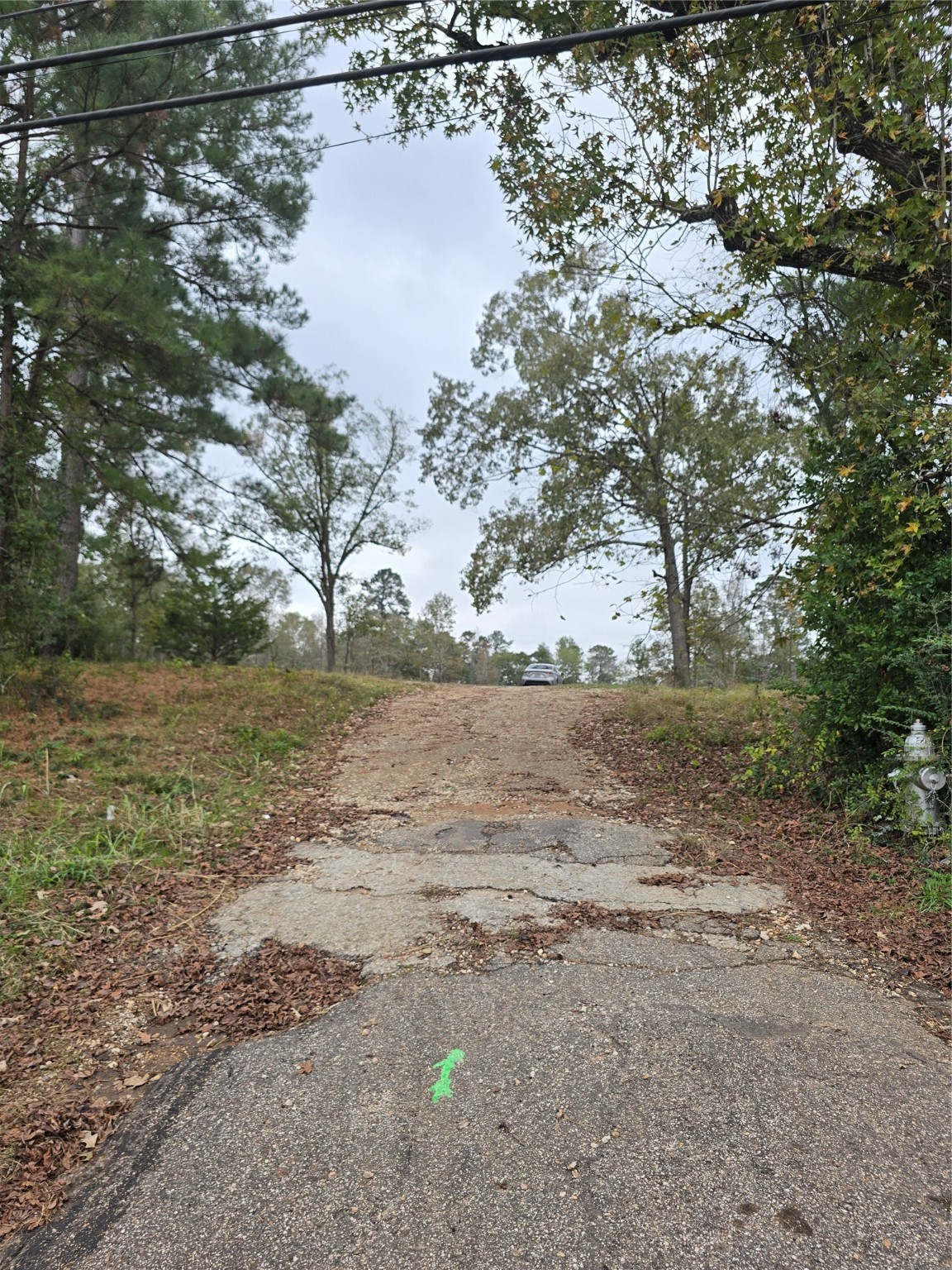 1006 S Houston Avenue Property Photo 2