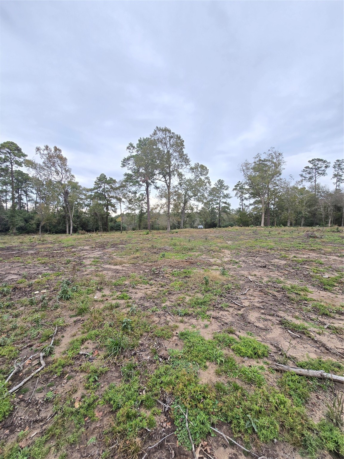 1006 S Houston Avenue Property Photo 6