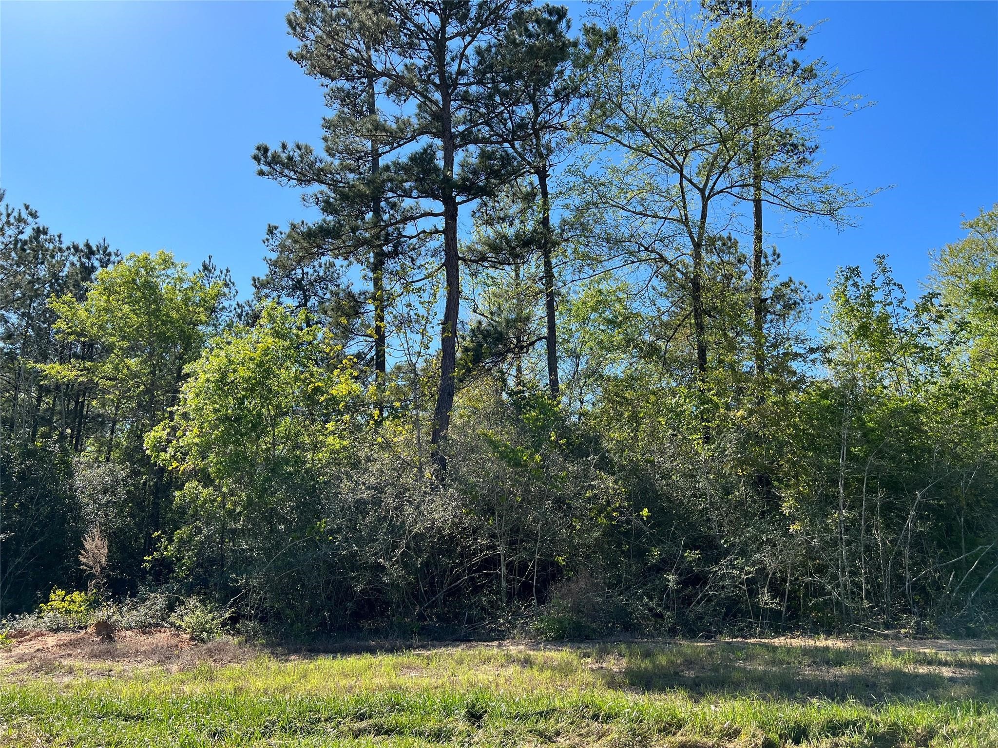 335 Exploration Road Property Photo 1