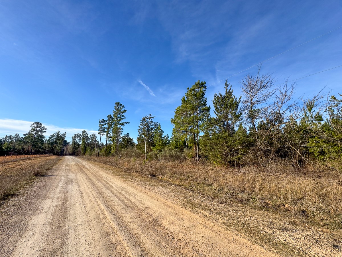 T-2 County Road 4245 Property Photo 8