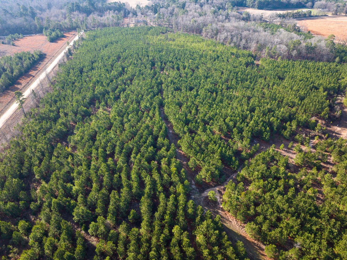 T-2 County Road 4245 Property Photo 14