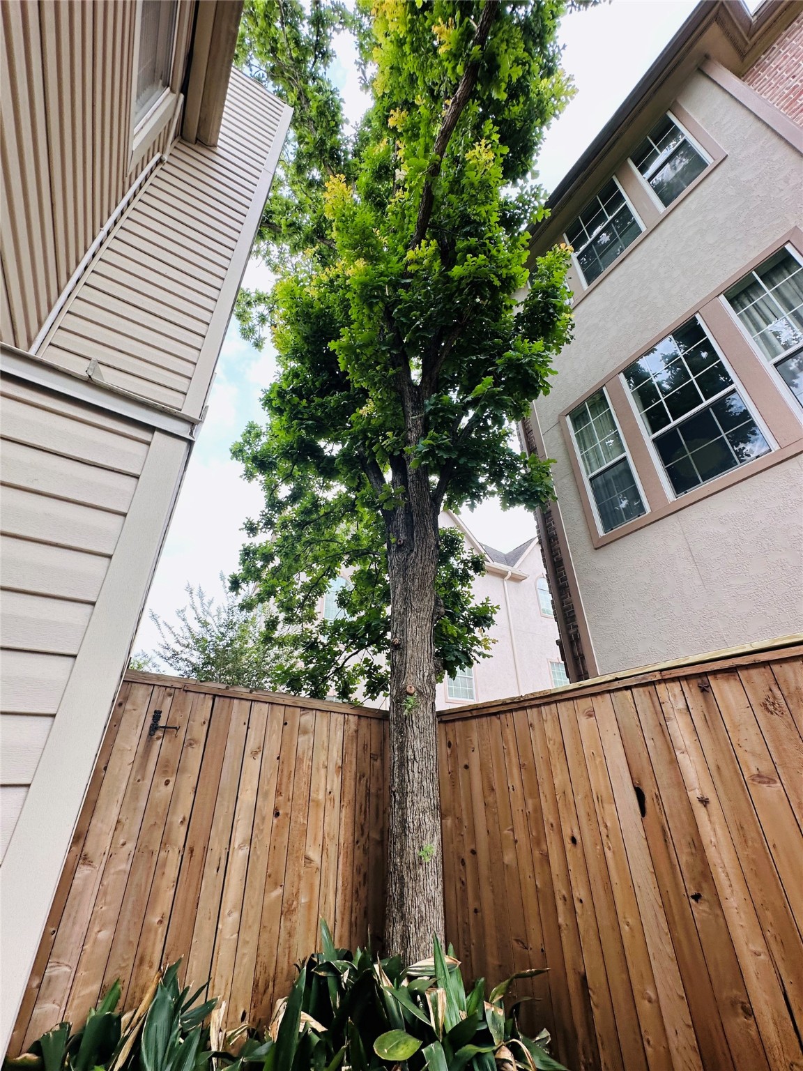 1504 Southmore Boulevard Property Photo 23