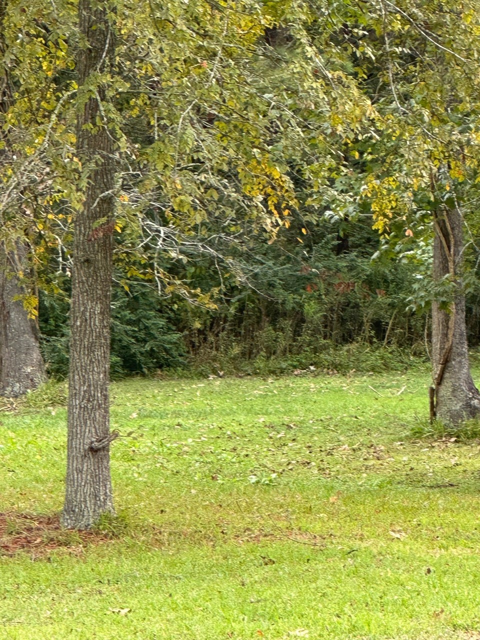 Off Of Fm 1409 Property Photo 1