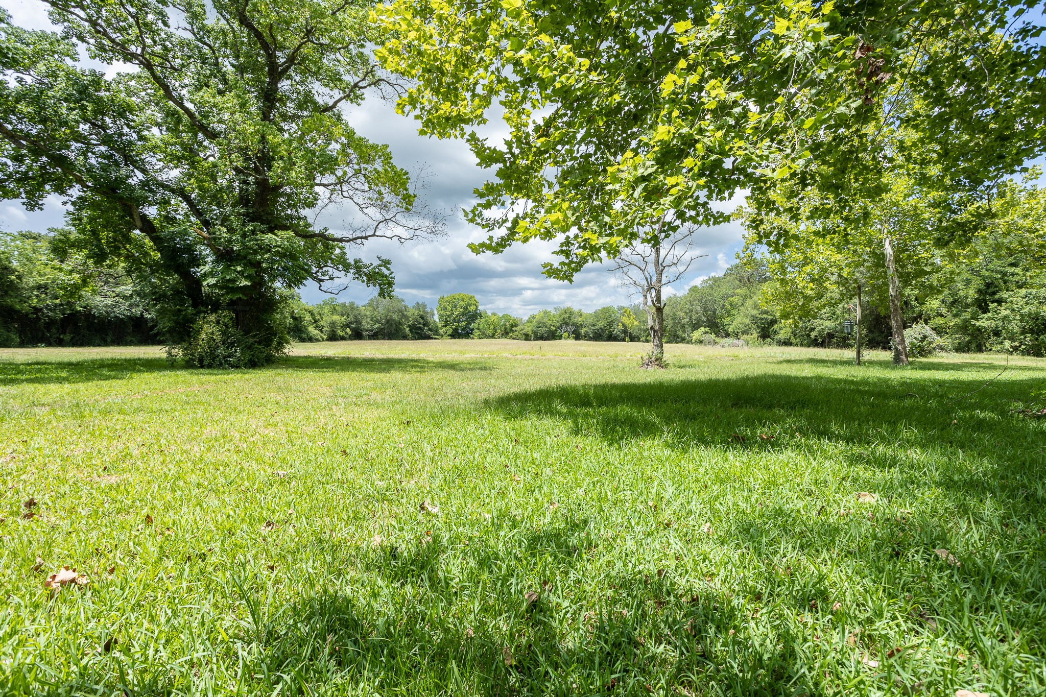 15586 County Road 436 Property Photo 16