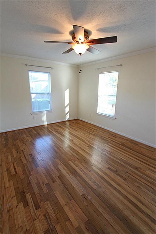 6534 Sivley Street Property Photo 9