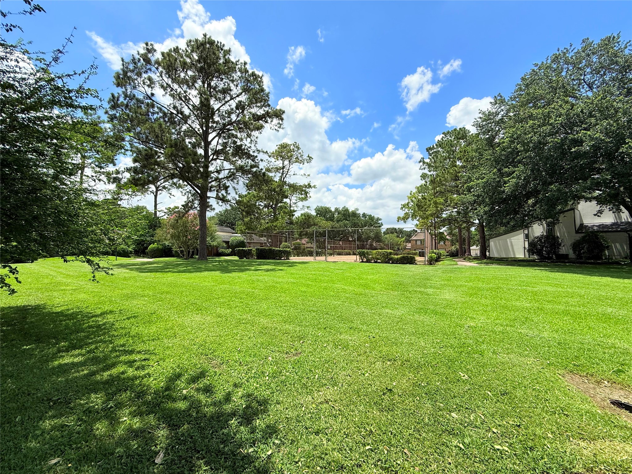 12027 Greenwood Forest Dr Drive 29d Property Photo 14
