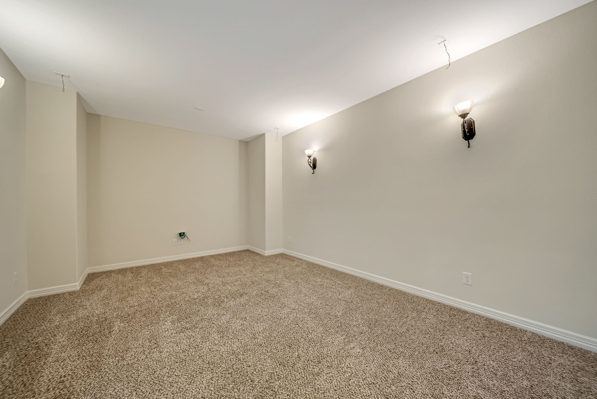 1520 Kaleta Pass Lane Property Photo 40