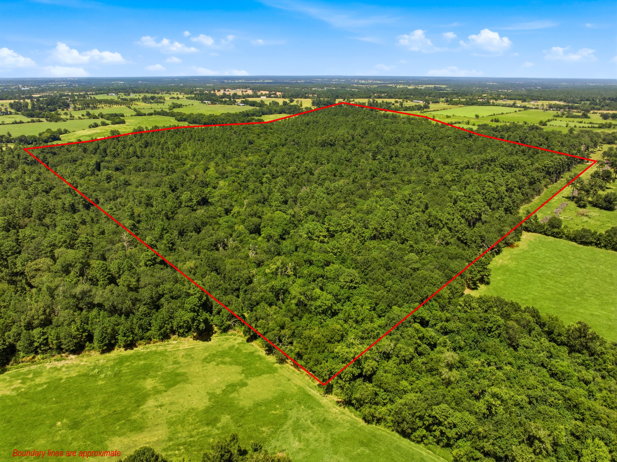 118.25 Acres Cr 278c Property Photo 1