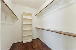 10707 Mandavilla Dr Drive Property Photo 11