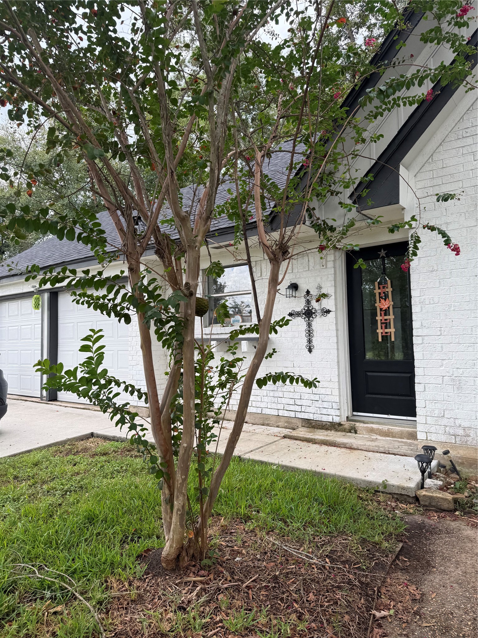 1707 Lone Eagle Circle Property Photo 30