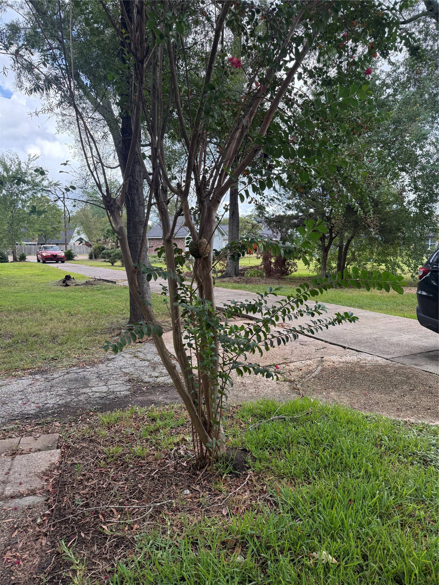1707 Lone Eagle Circle Property Photo 35