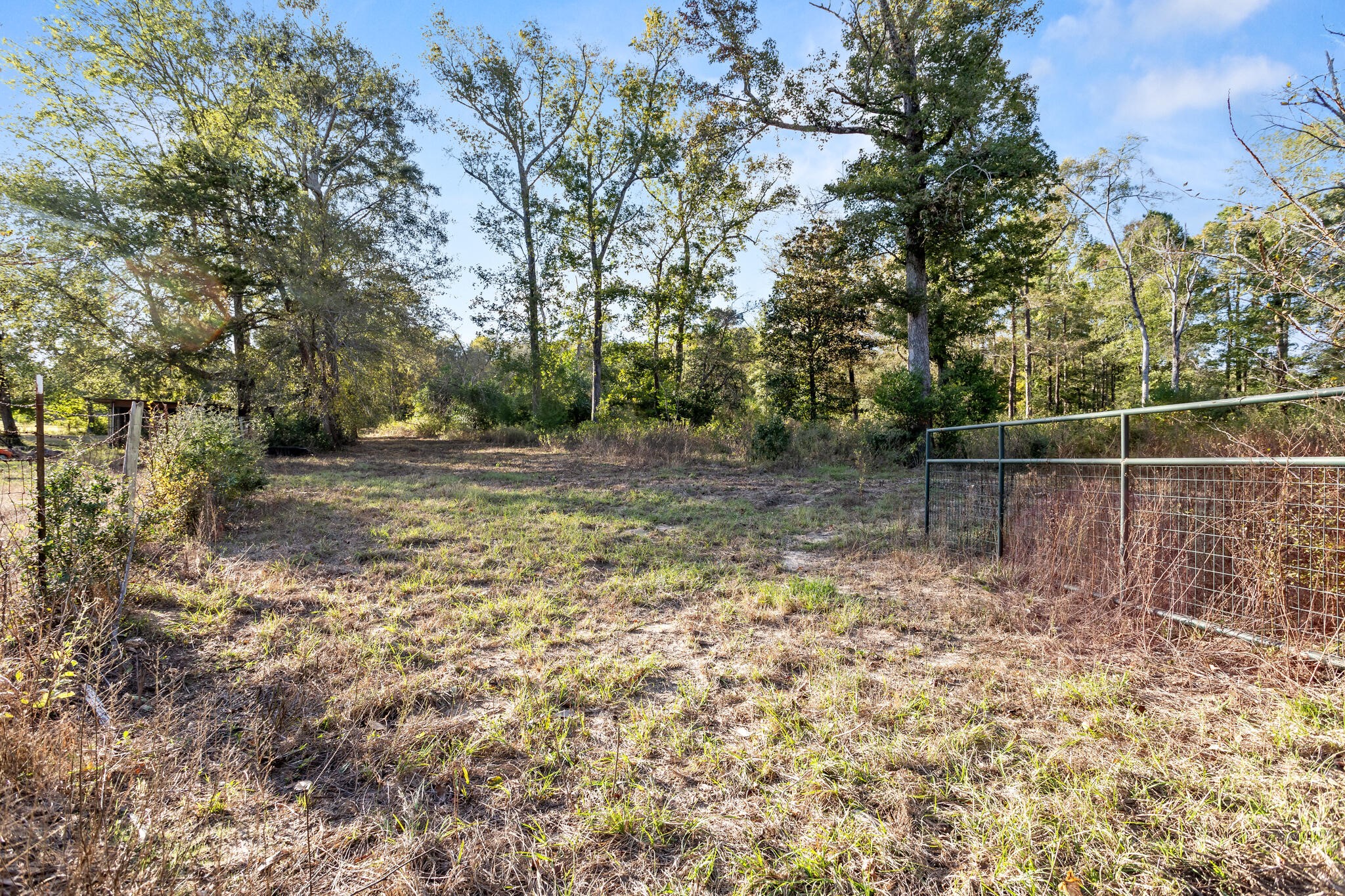 11933 Fm 777 Property Photo 49
