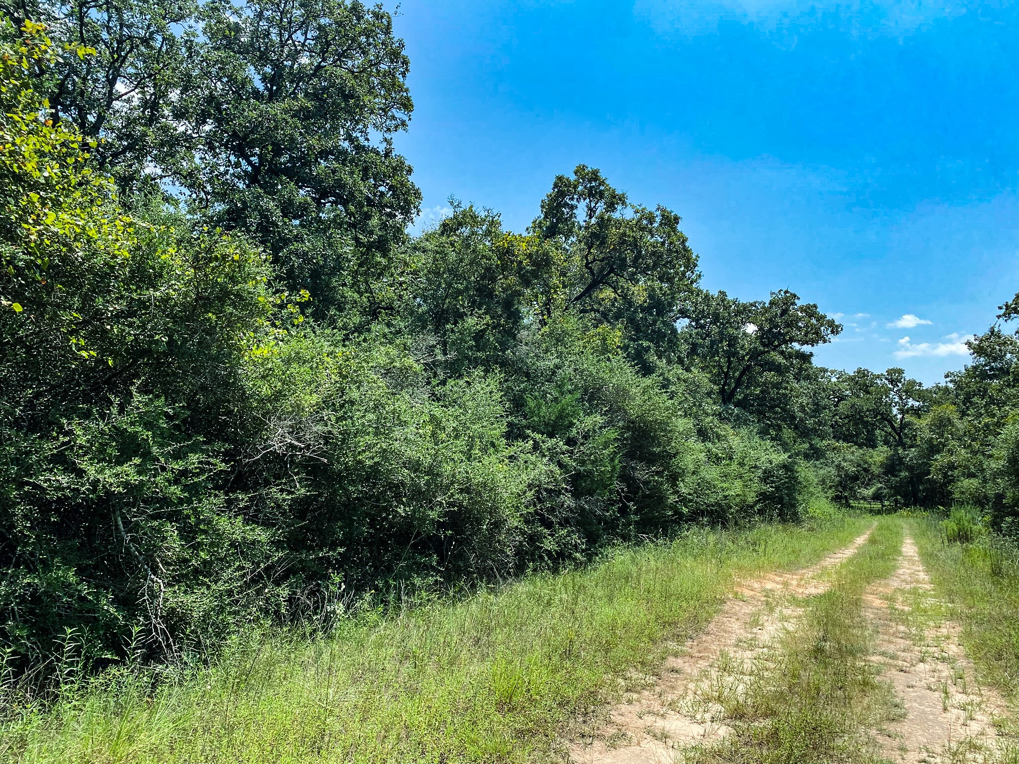 Lot 10 Ranch Road Dr Drive Property Photo 1