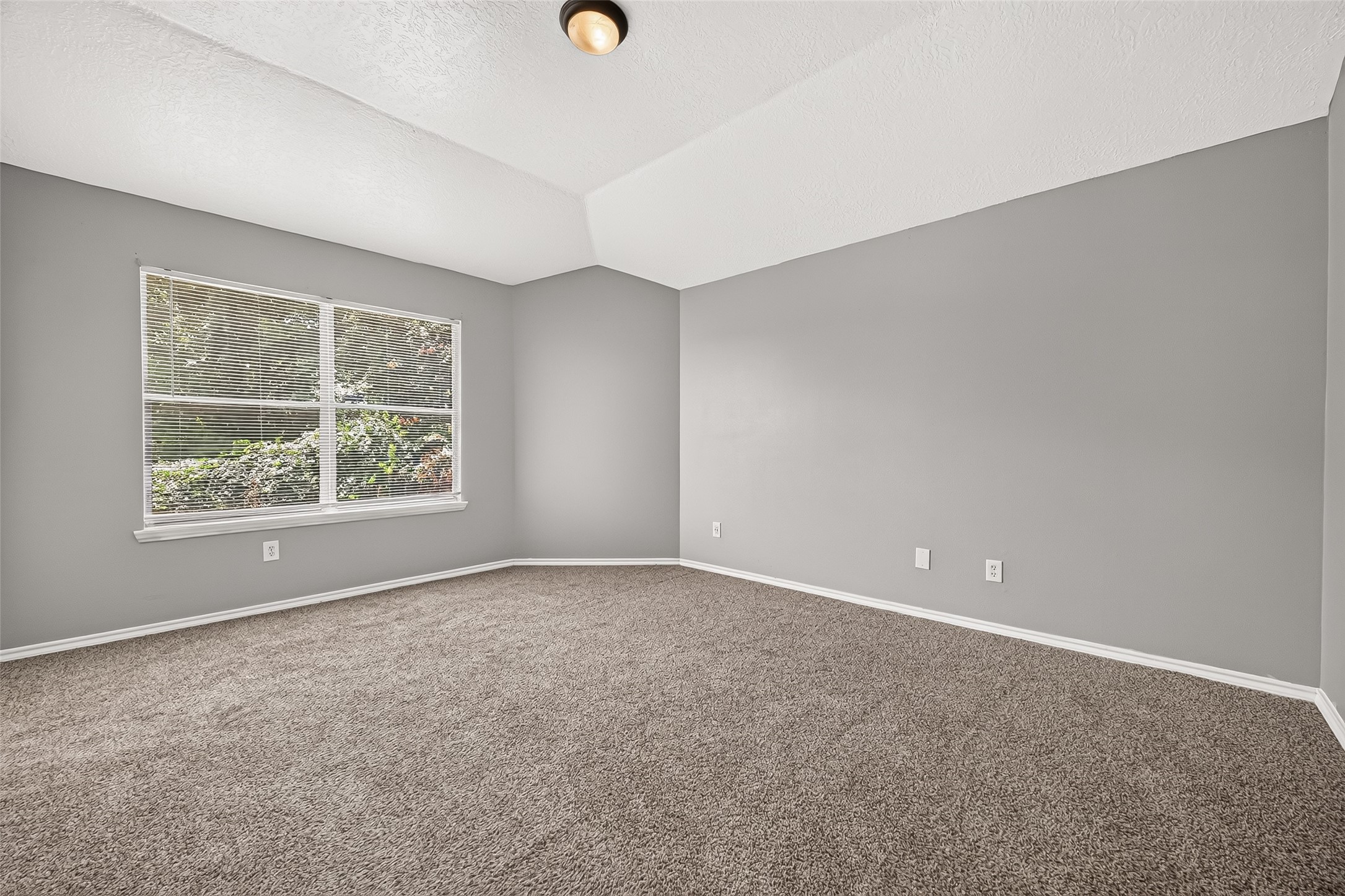 15103 Beechnut Street Property Photo 23