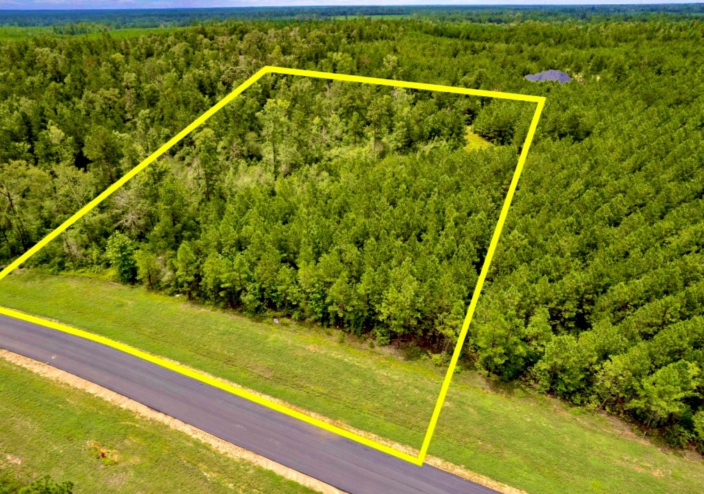 12050 High Branch Way Property Photo 9