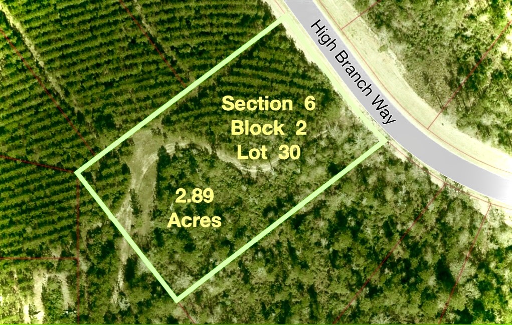 12050 High Branch Way Property Photo 10