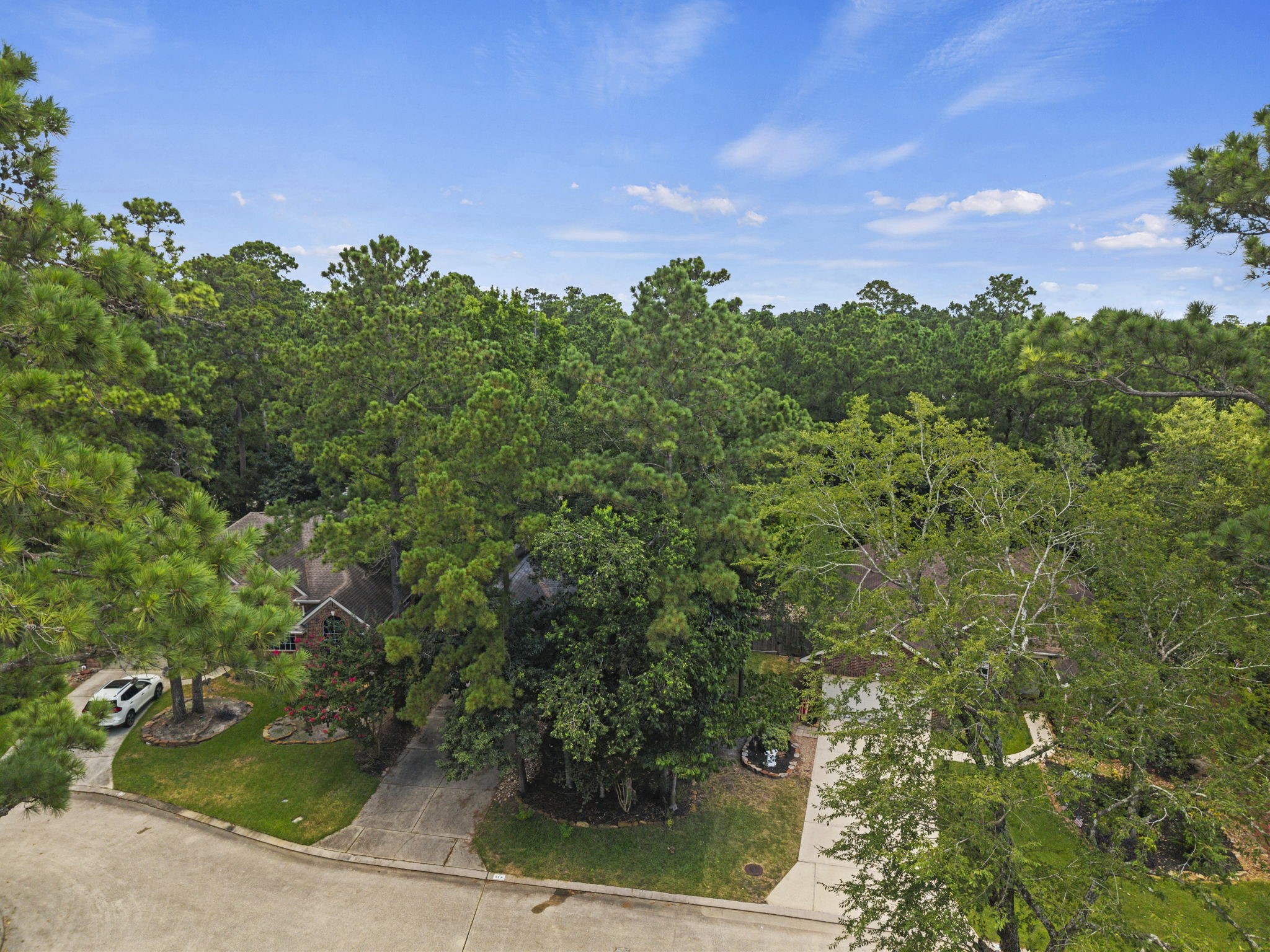 54 Wrens Song Place Property Photo 43