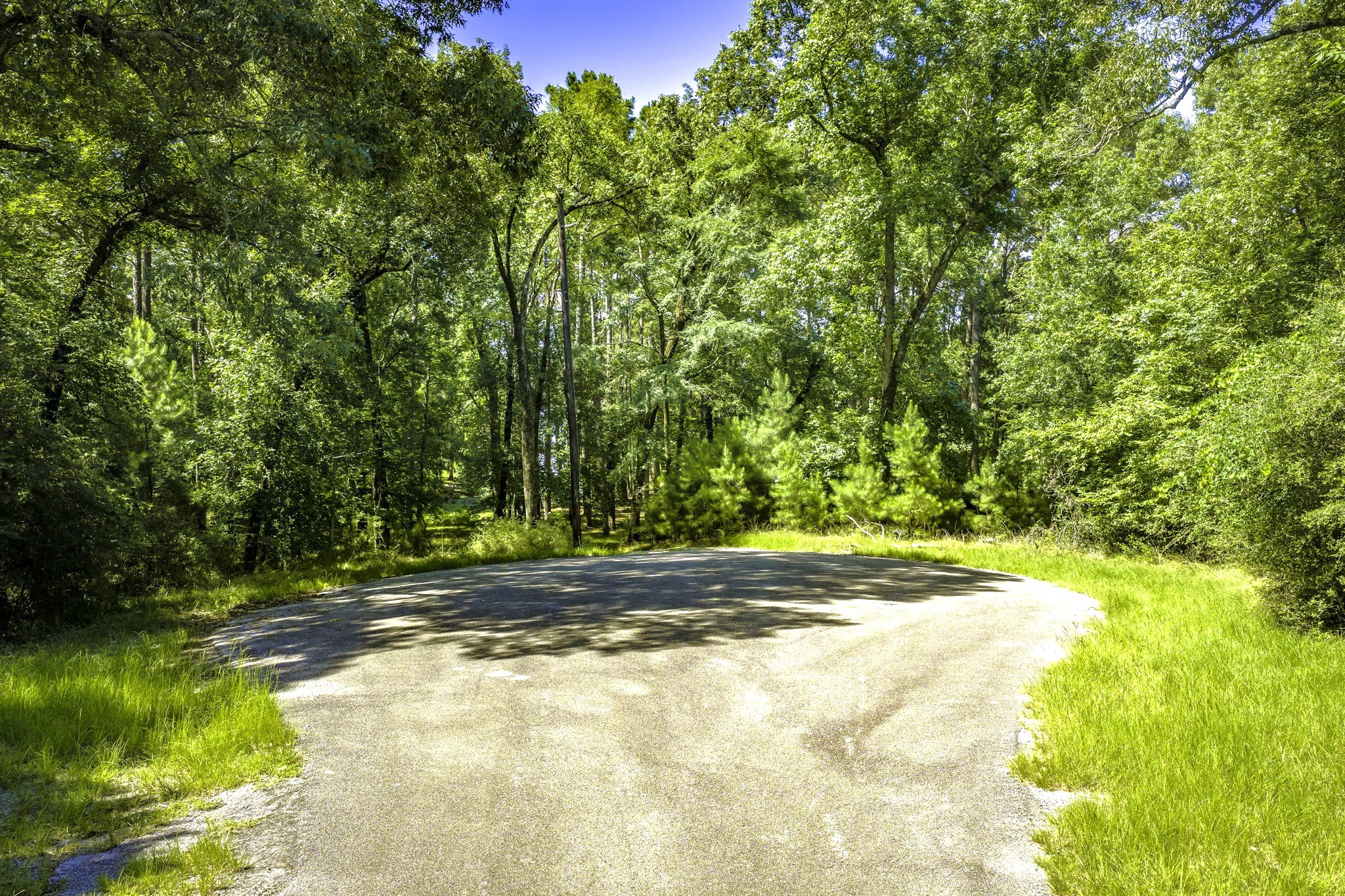 Tbd Pine Circle Property Photo 5