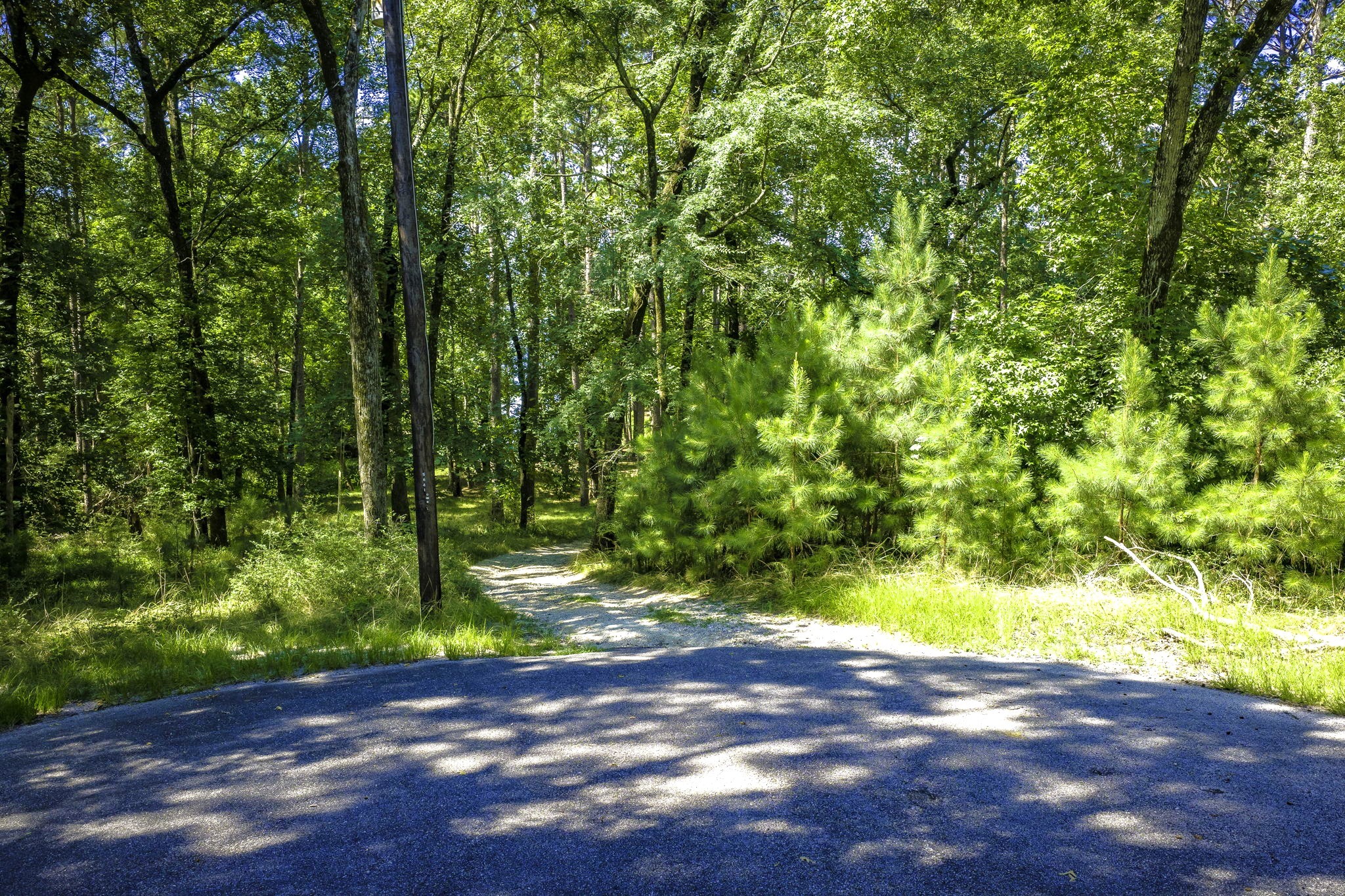 Tbd Pine Circle Property Photo 6