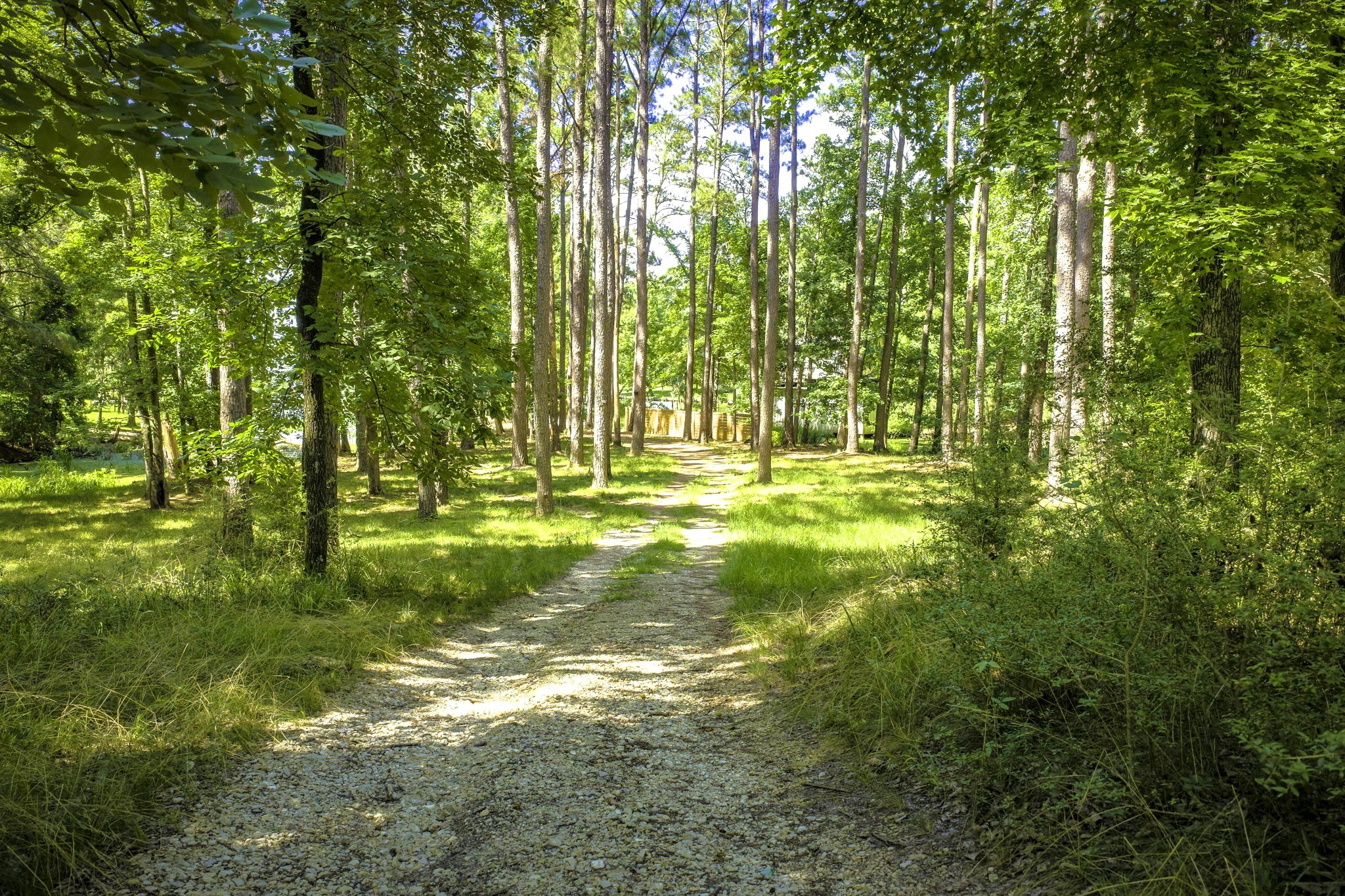 Tbd Pine Circle Property Photo 8