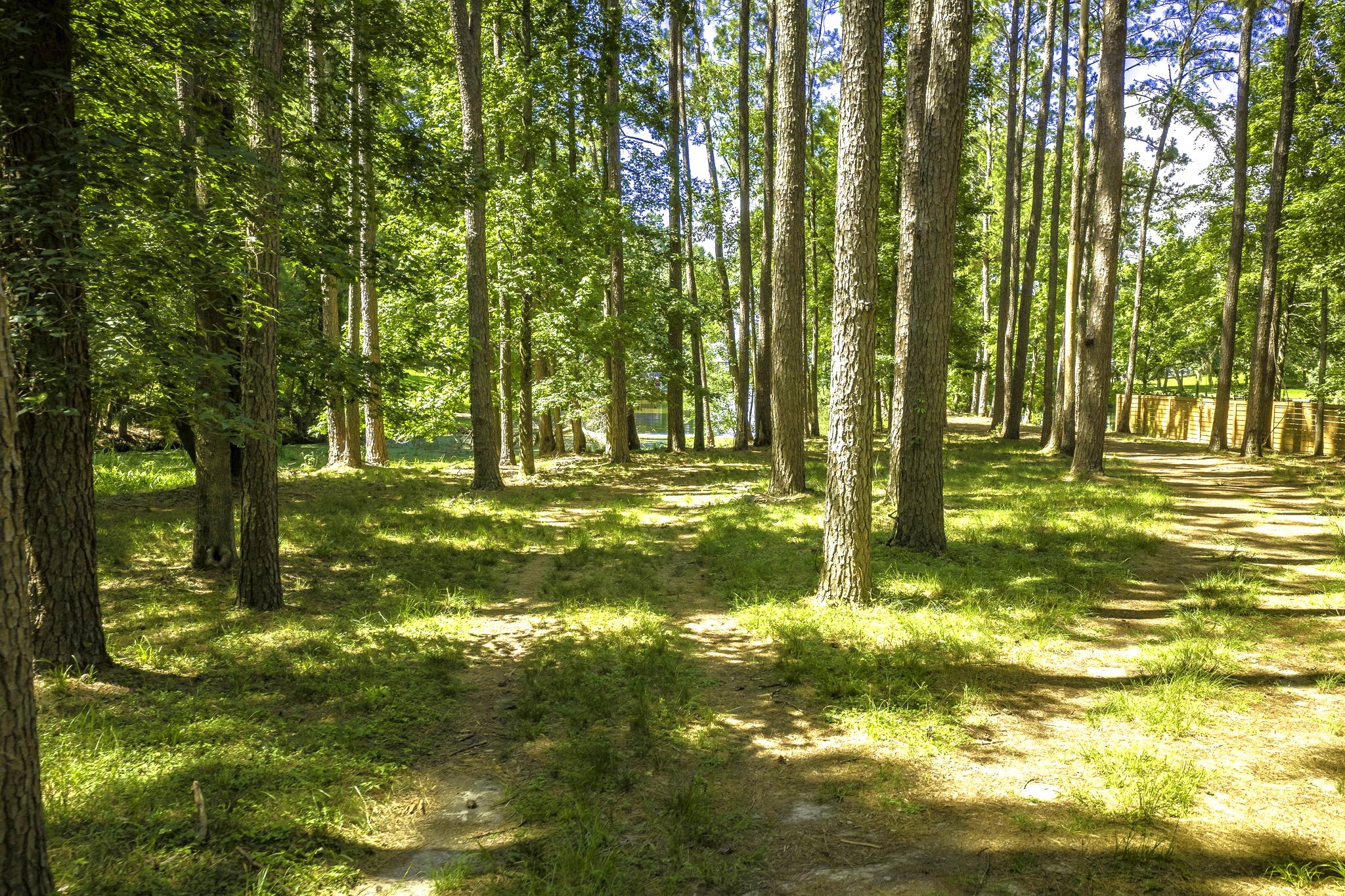 Tbd Pine Circle Property Photo 10
