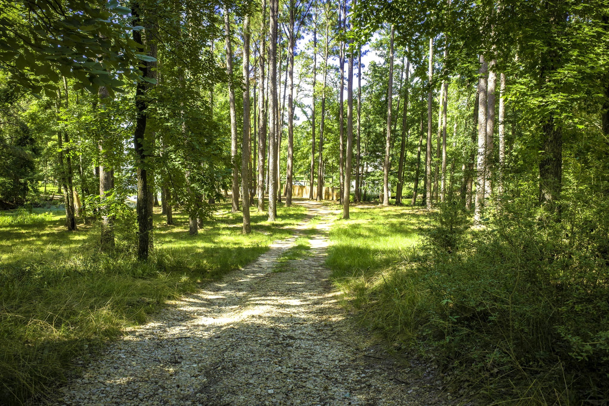 Tbd Pine Circle Property Photo 11